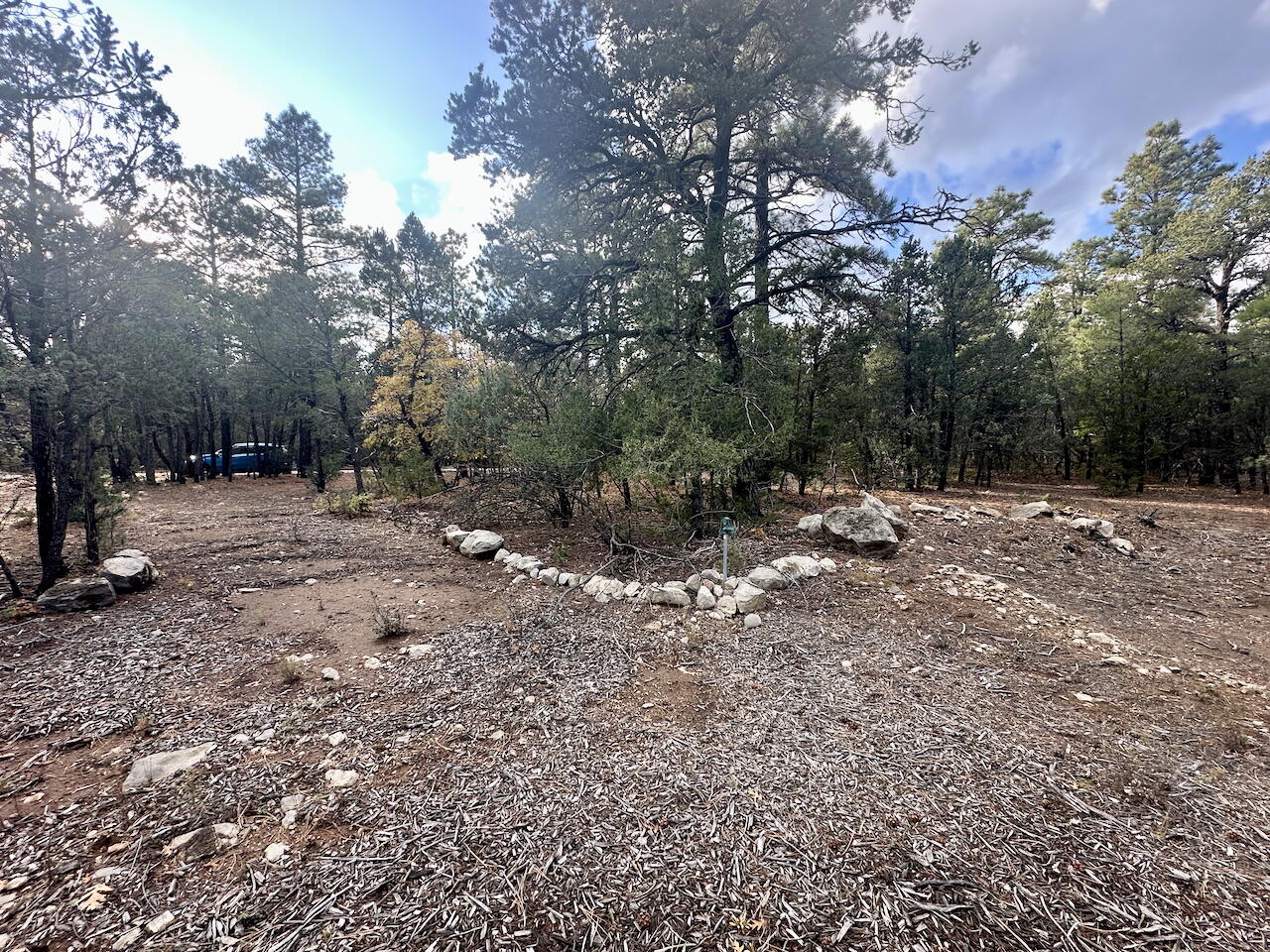 21 Bobolink Lane, Tijeras, New Mexico image 5