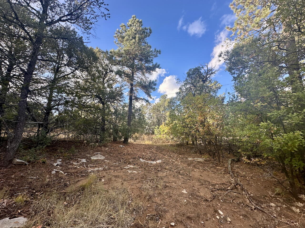 21 Bobolink Lane, Tijeras, New Mexico image 21