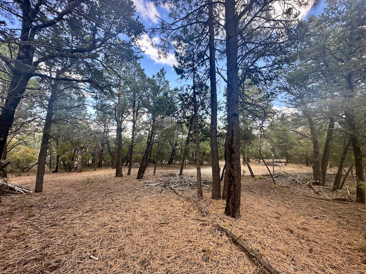 21 Bobolink Lane, Tijeras, New Mexico image 14