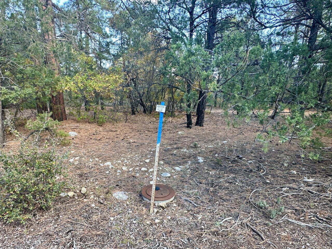 21 Bobolink Lane, Tijeras, New Mexico image 7
