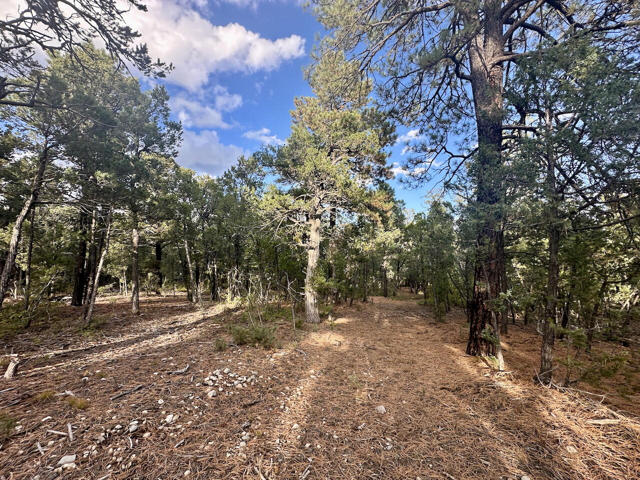 21 Bobolink Lane, Tijeras, New Mexico image 10