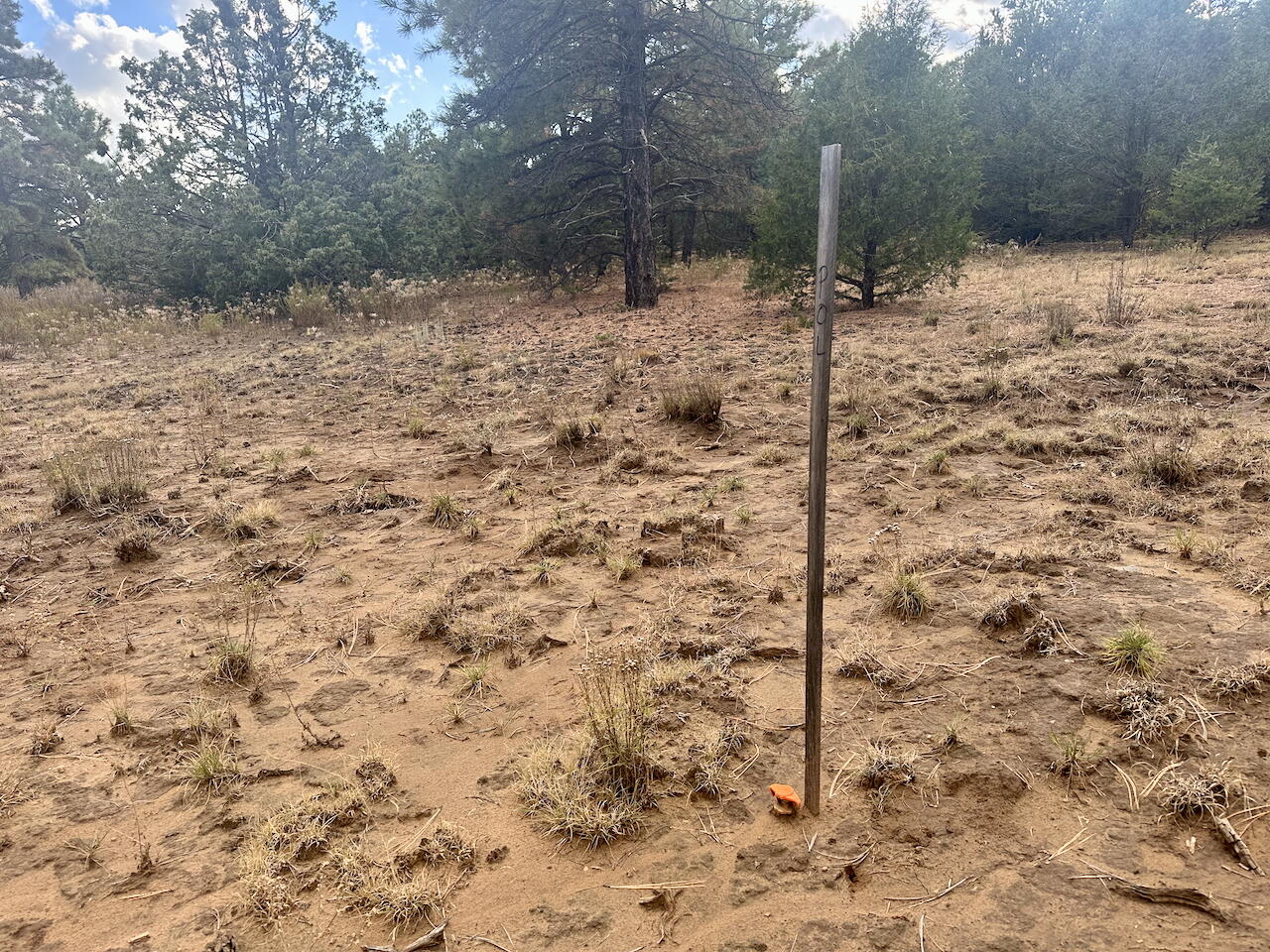 21 Bobolink Lane, Tijeras, New Mexico image 24