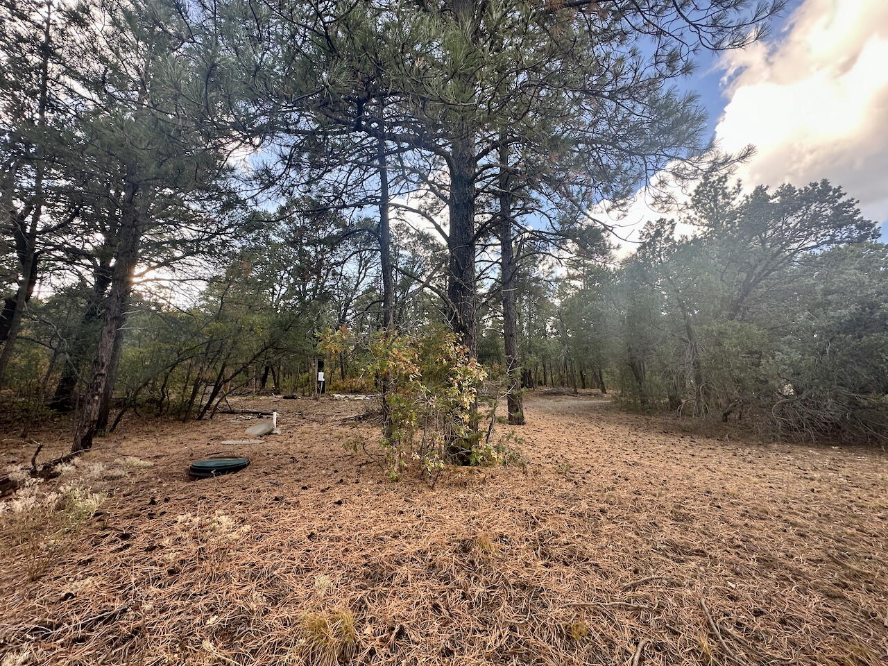 21 Bobolink Lane, Tijeras, New Mexico image 26