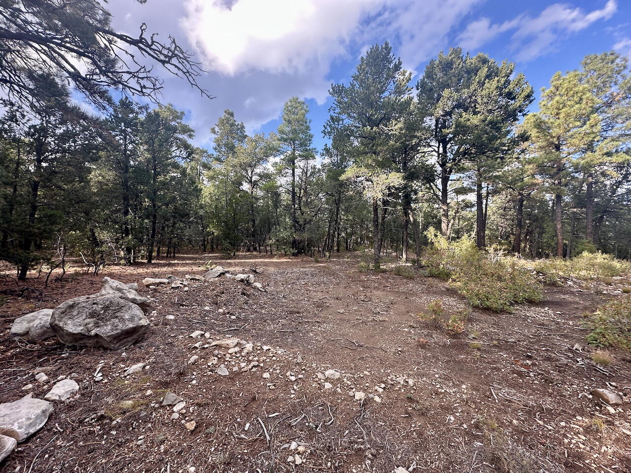 21 Bobolink Lane, Tijeras, New Mexico image 9