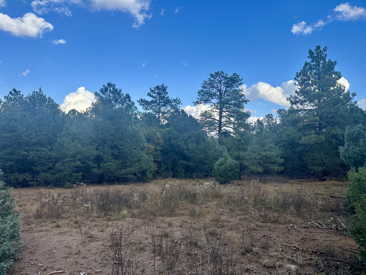 21 Bobolink Lane, Tijeras, New Mexico image 17
