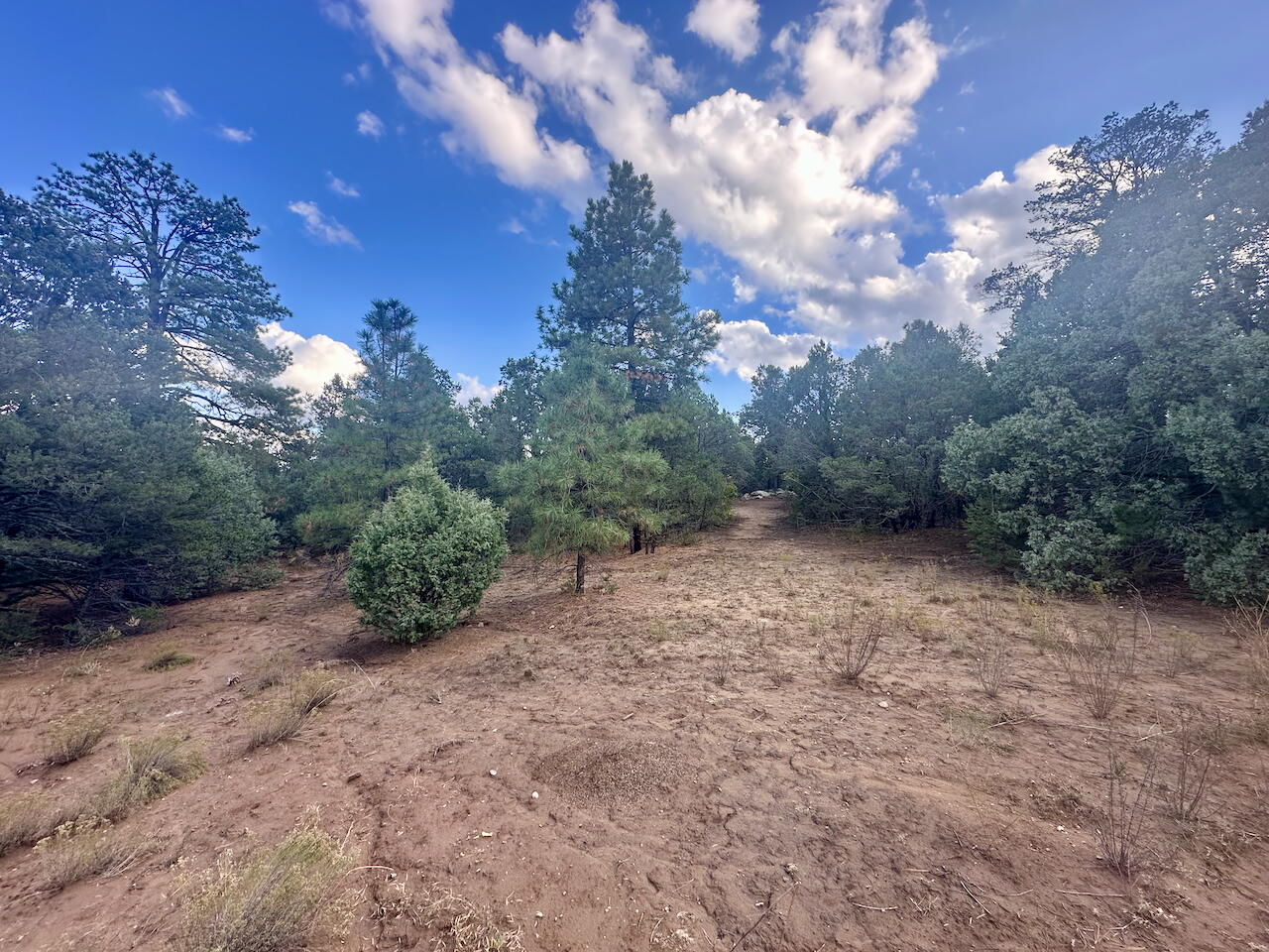 21 Bobolink Lane, Tijeras, New Mexico image 19