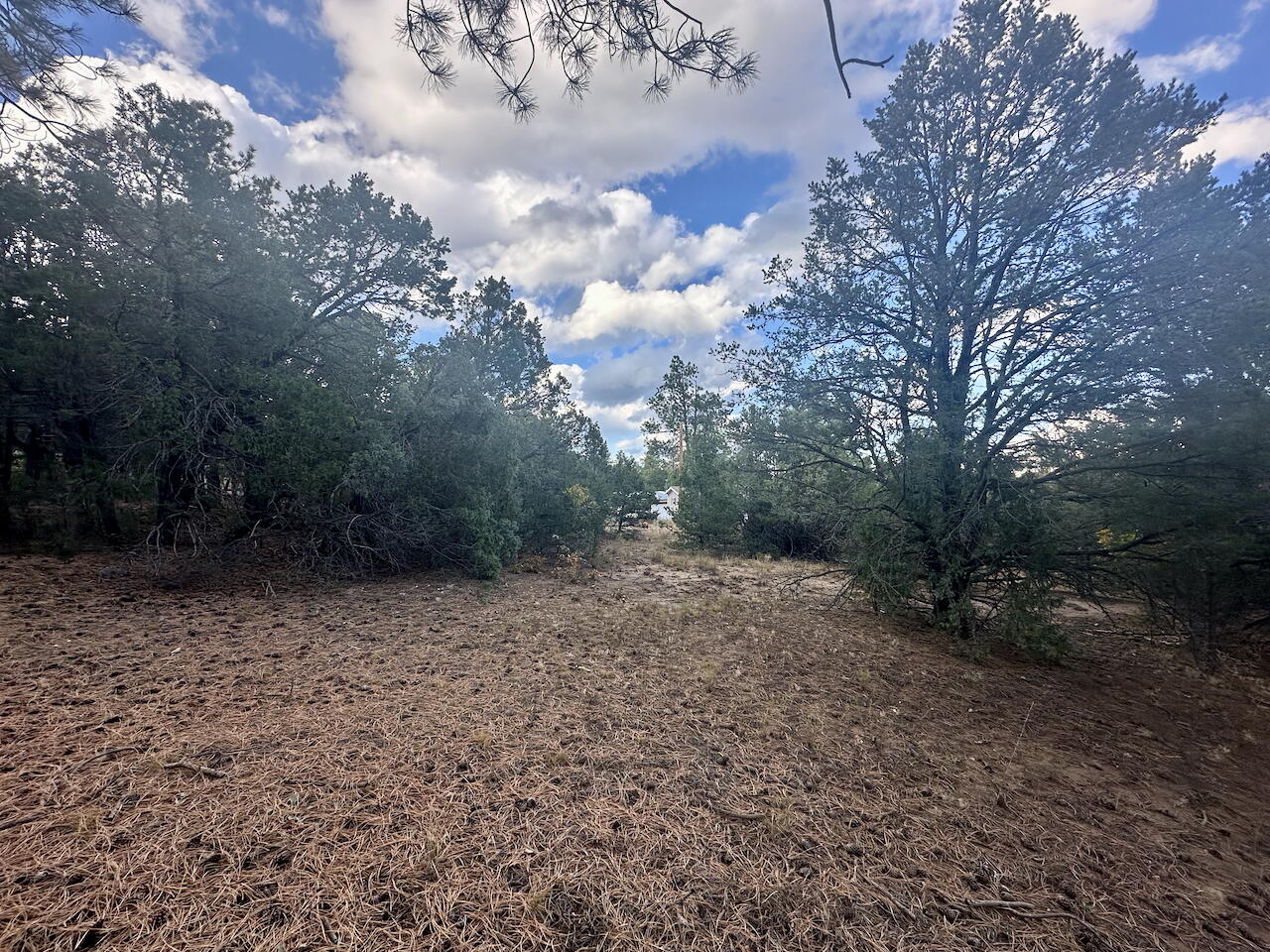 21 Bobolink Lane, Tijeras, New Mexico image 16
