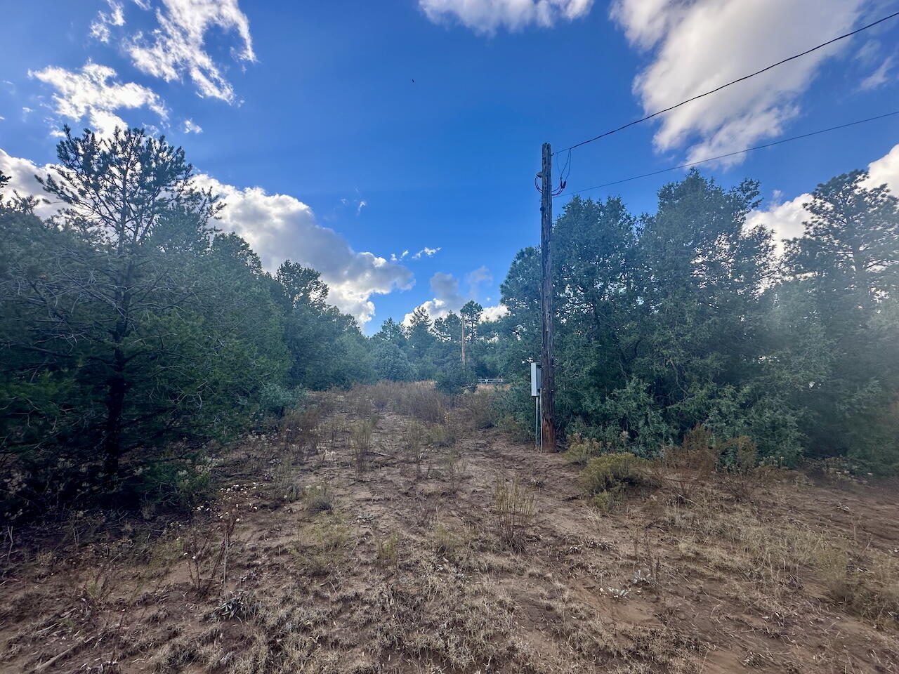 21 Bobolink Lane, Tijeras, New Mexico image 11