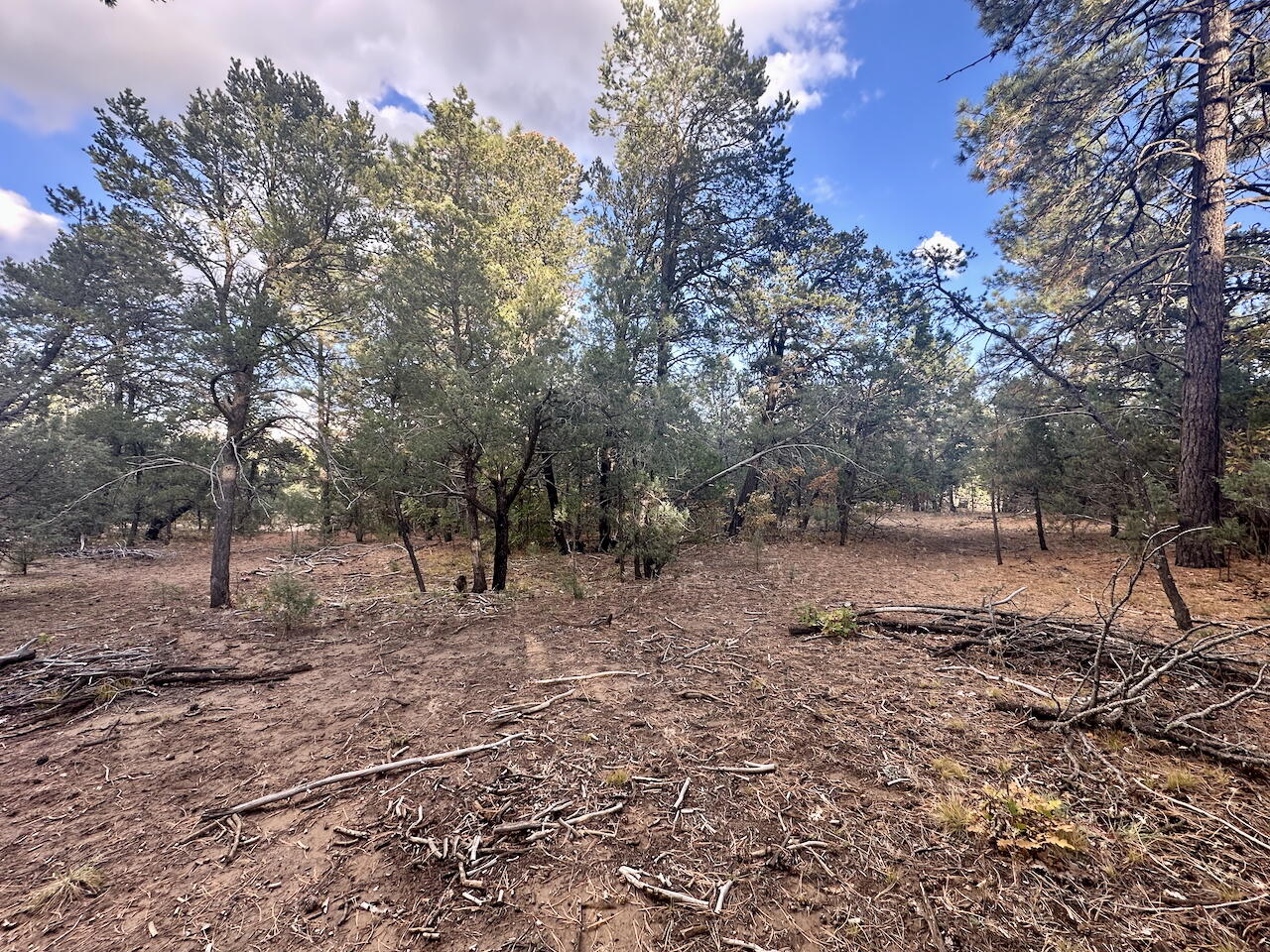 21 Bobolink Lane, Tijeras, New Mexico image 25