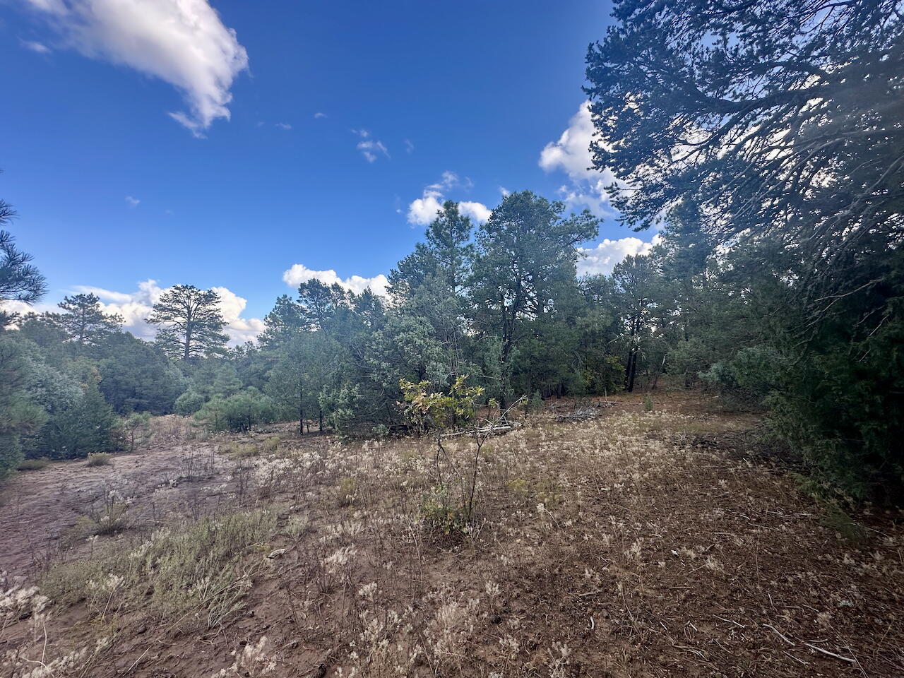 21 Bobolink Lane, Tijeras, New Mexico image 13