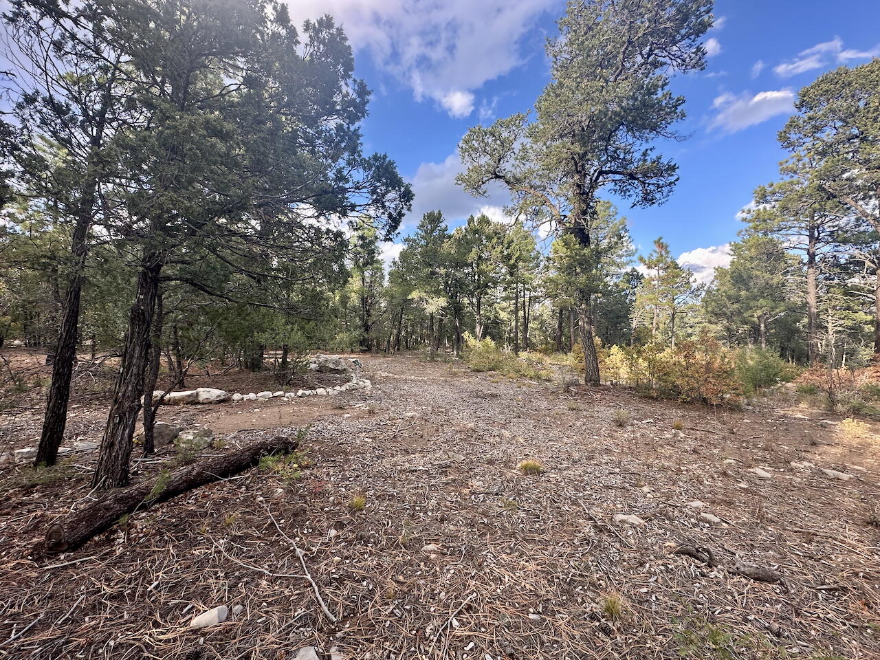 21 Bobolink Lane, Tijeras, New Mexico image 6