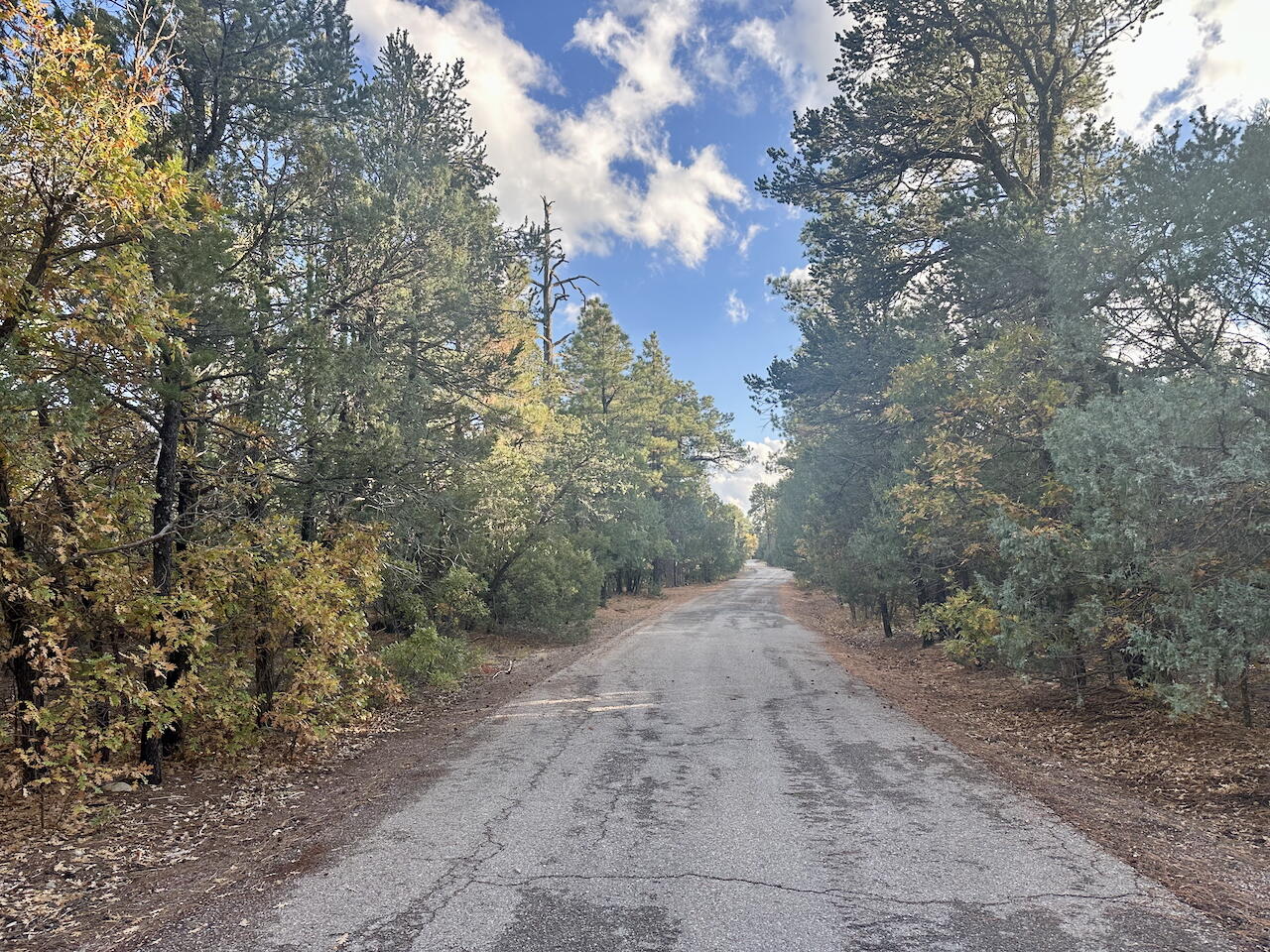 21 Bobolink Lane, Tijeras, New Mexico image 31