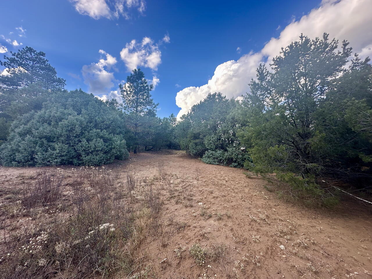 21 Bobolink Lane, Tijeras, New Mexico image 18