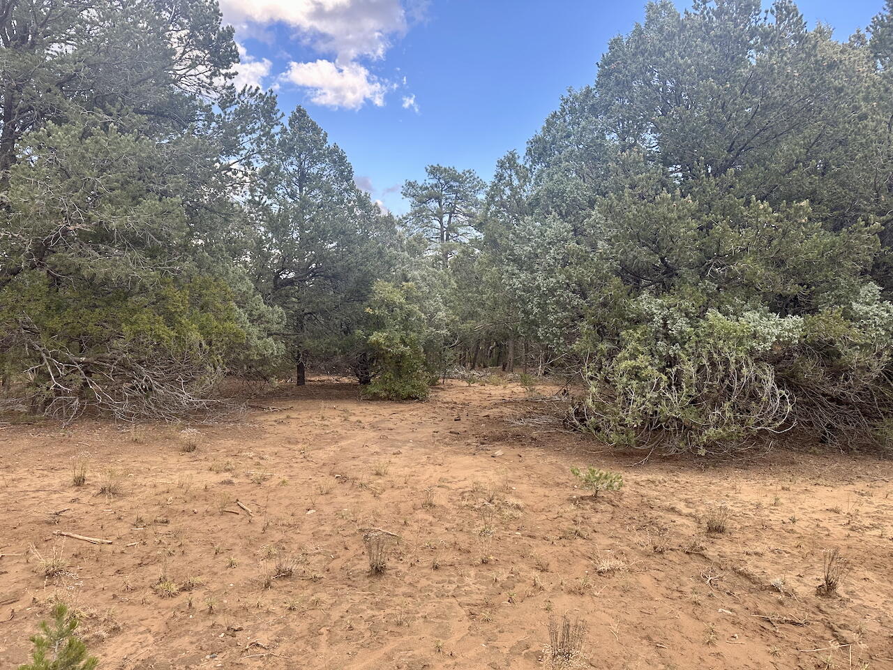 21 Bobolink Lane, Tijeras, New Mexico image 23