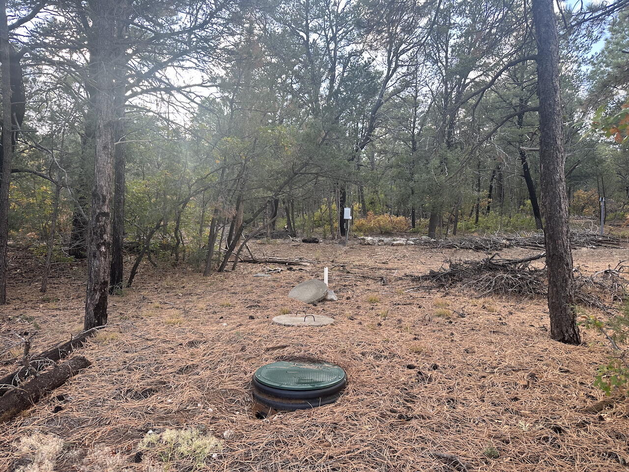 21 Bobolink Lane, Tijeras, New Mexico image 12