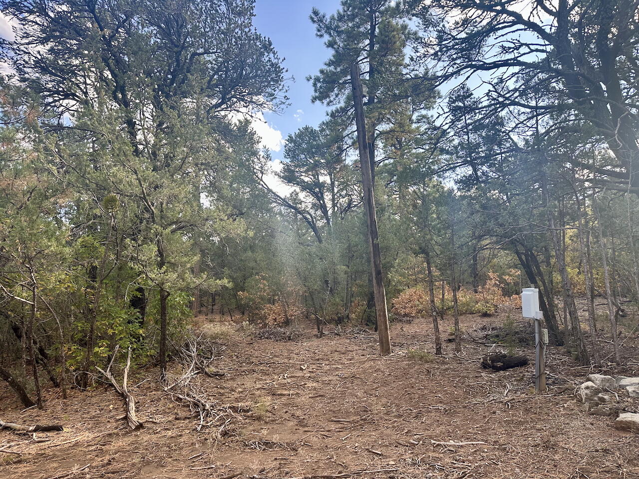 21 Bobolink Lane, Tijeras, New Mexico image 15