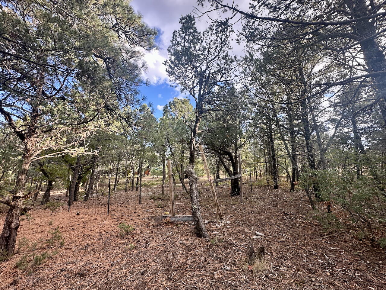 21 Bobolink Lane, Tijeras, New Mexico image 22