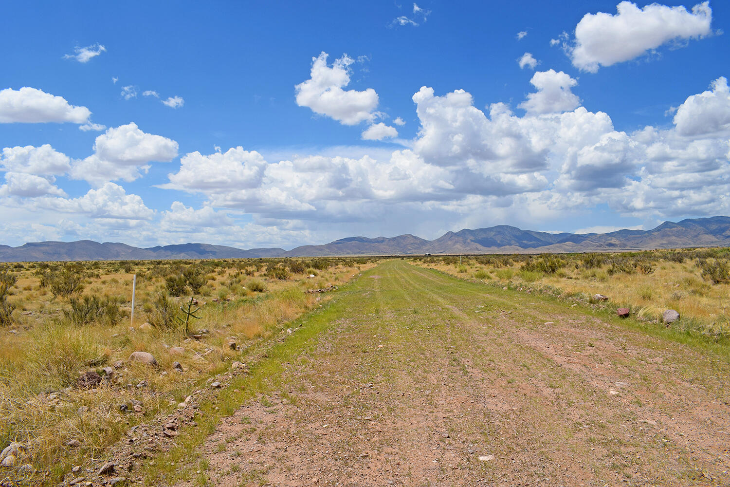 205 Muledeer Trail, San Antonio, New Mexico image 3