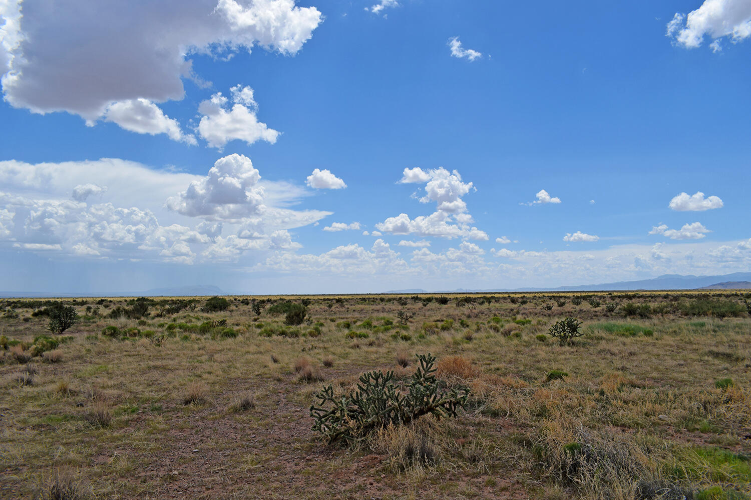 205 Muledeer Trail, San Antonio, New Mexico image 15