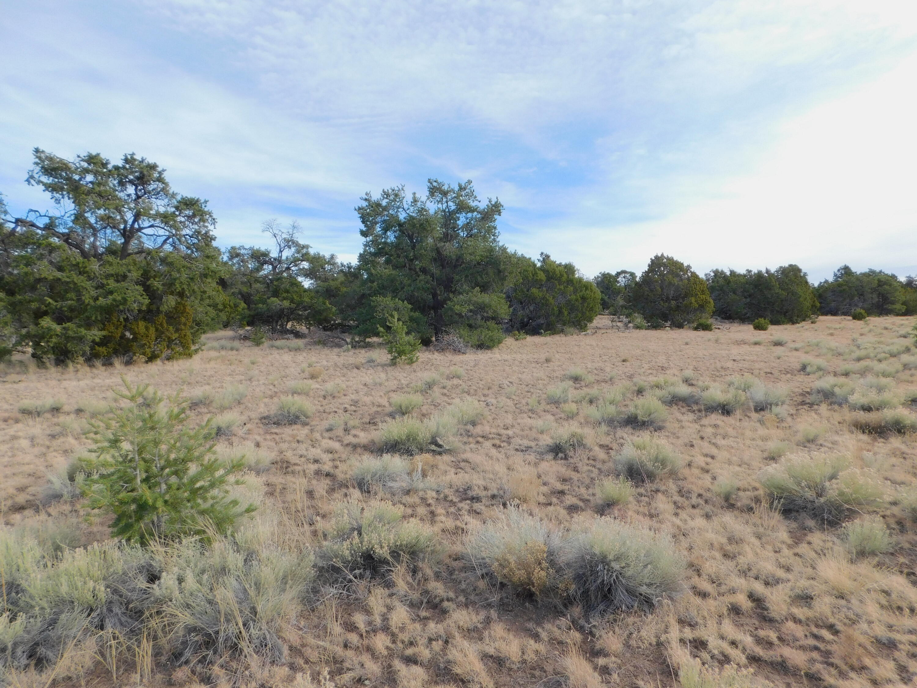 Lot 123 Brook Boulevard, Quemado, New Mexico image 2