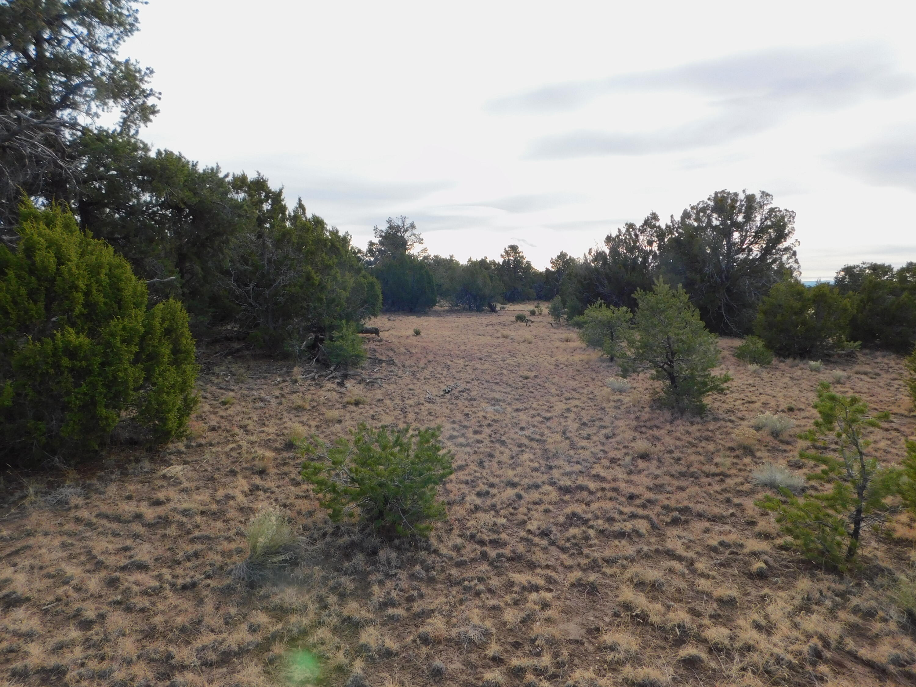 Lot 123 Brook Boulevard, Quemado, New Mexico image 7