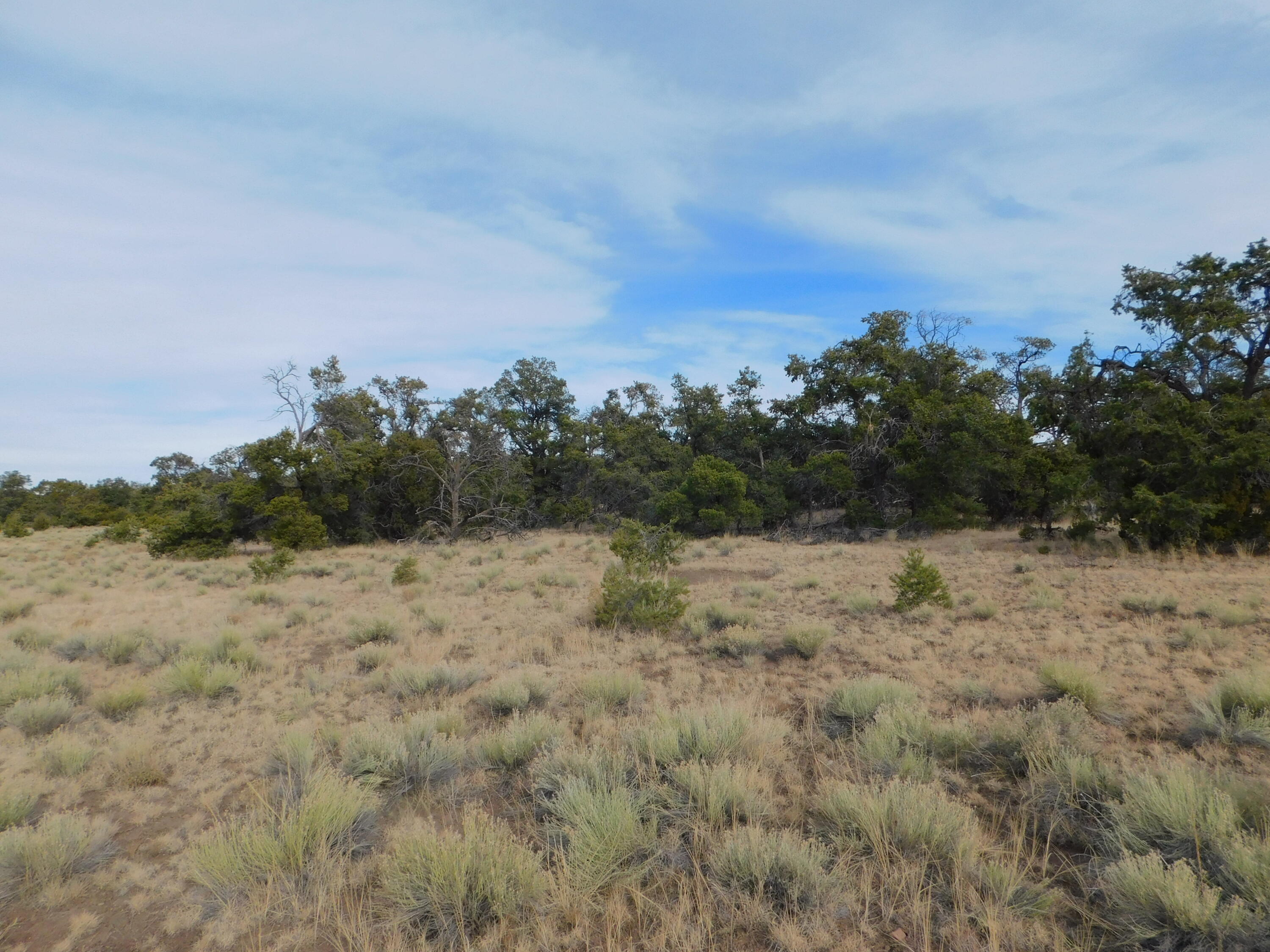 Lot 123 Brook Boulevard, Quemado, New Mexico image 1