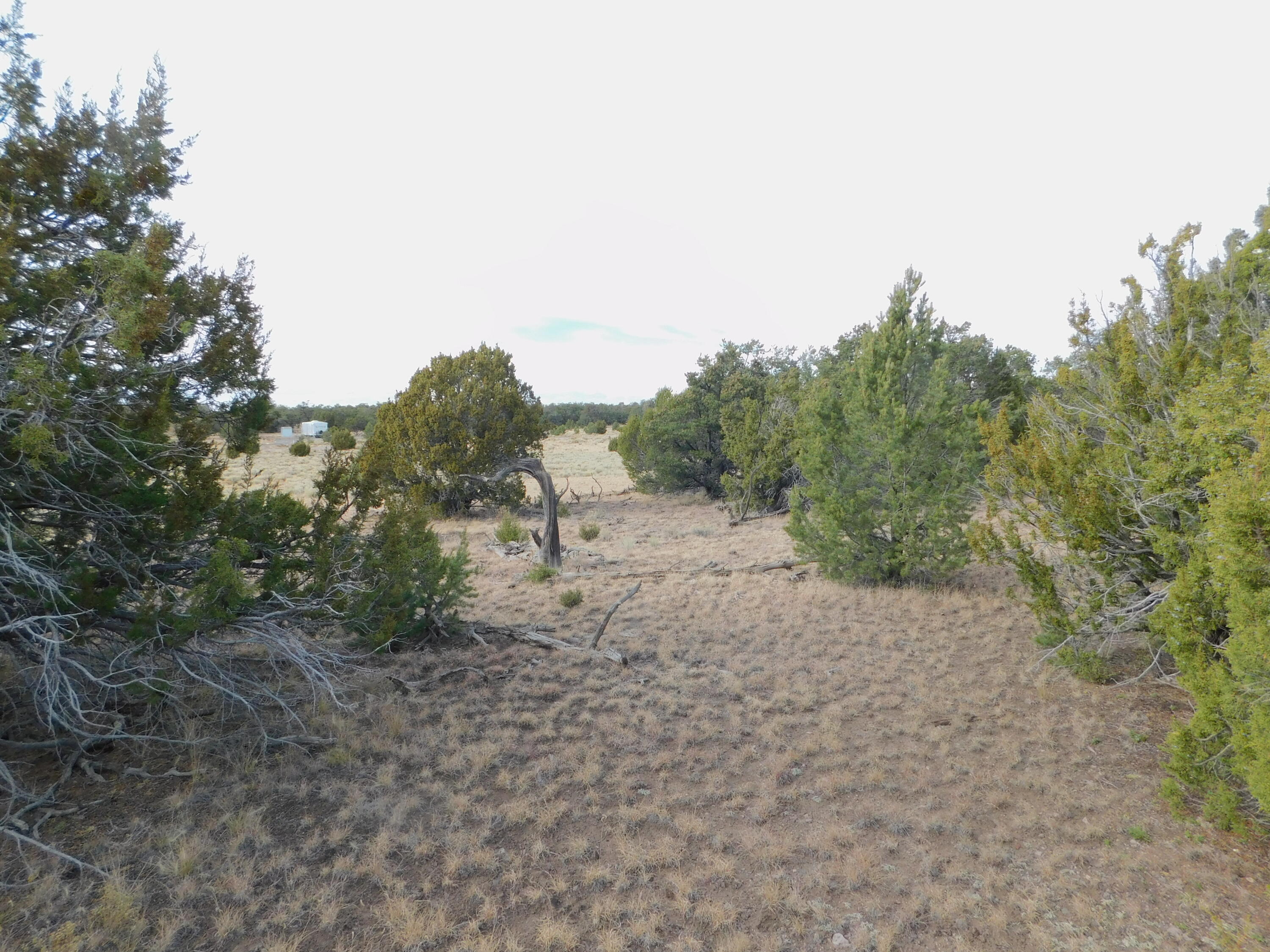 Lot 123 Brook Boulevard, Quemado, New Mexico image 10