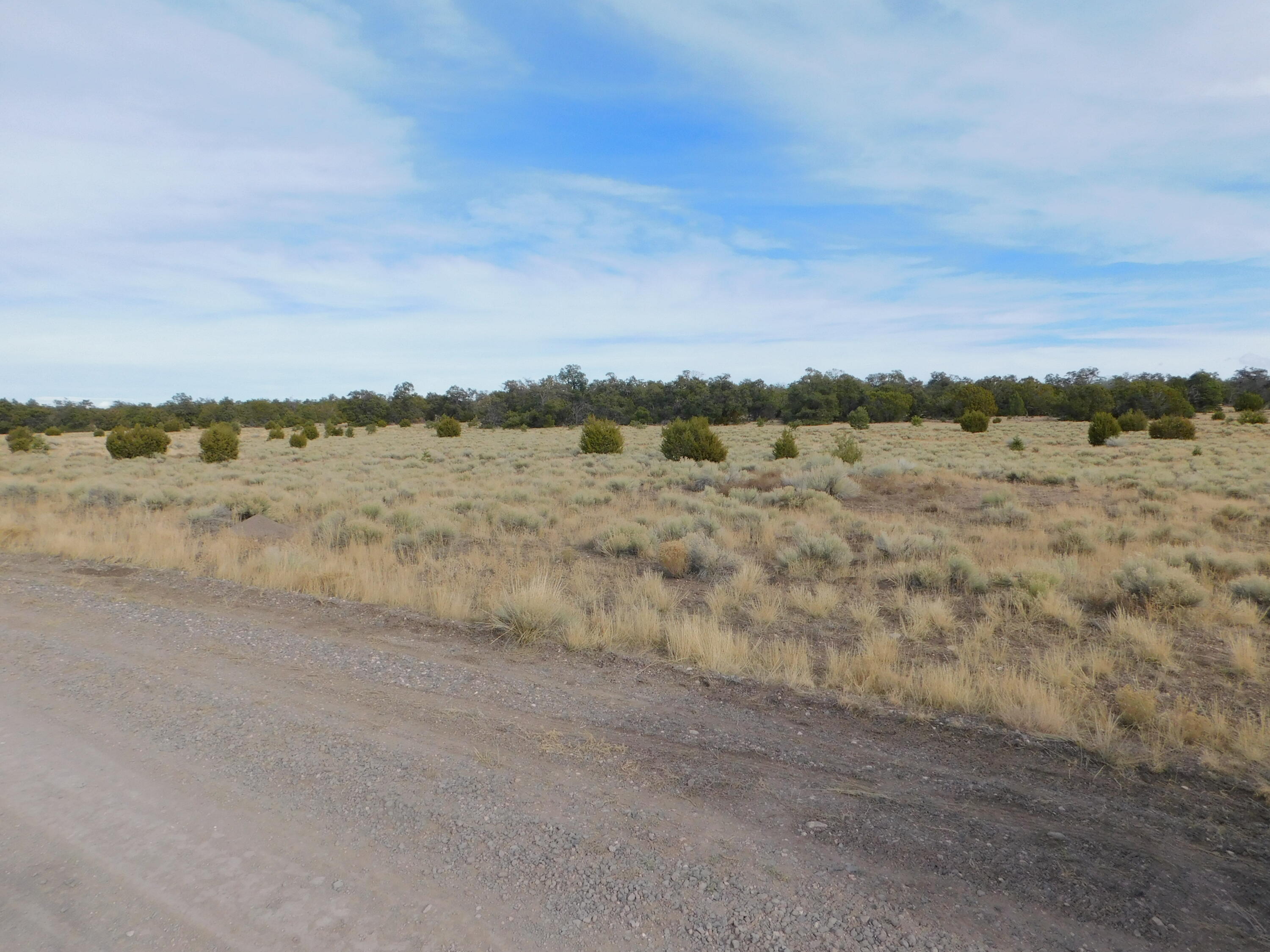 Lot 123 Brook Boulevard, Quemado, New Mexico image 3