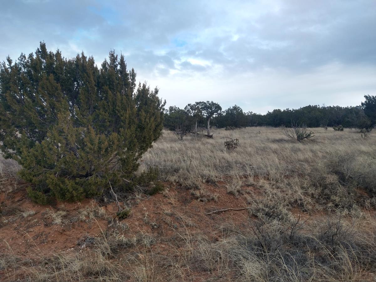 Tract 6 Bridle Path Loop, Mountainair, New Mexico image 19