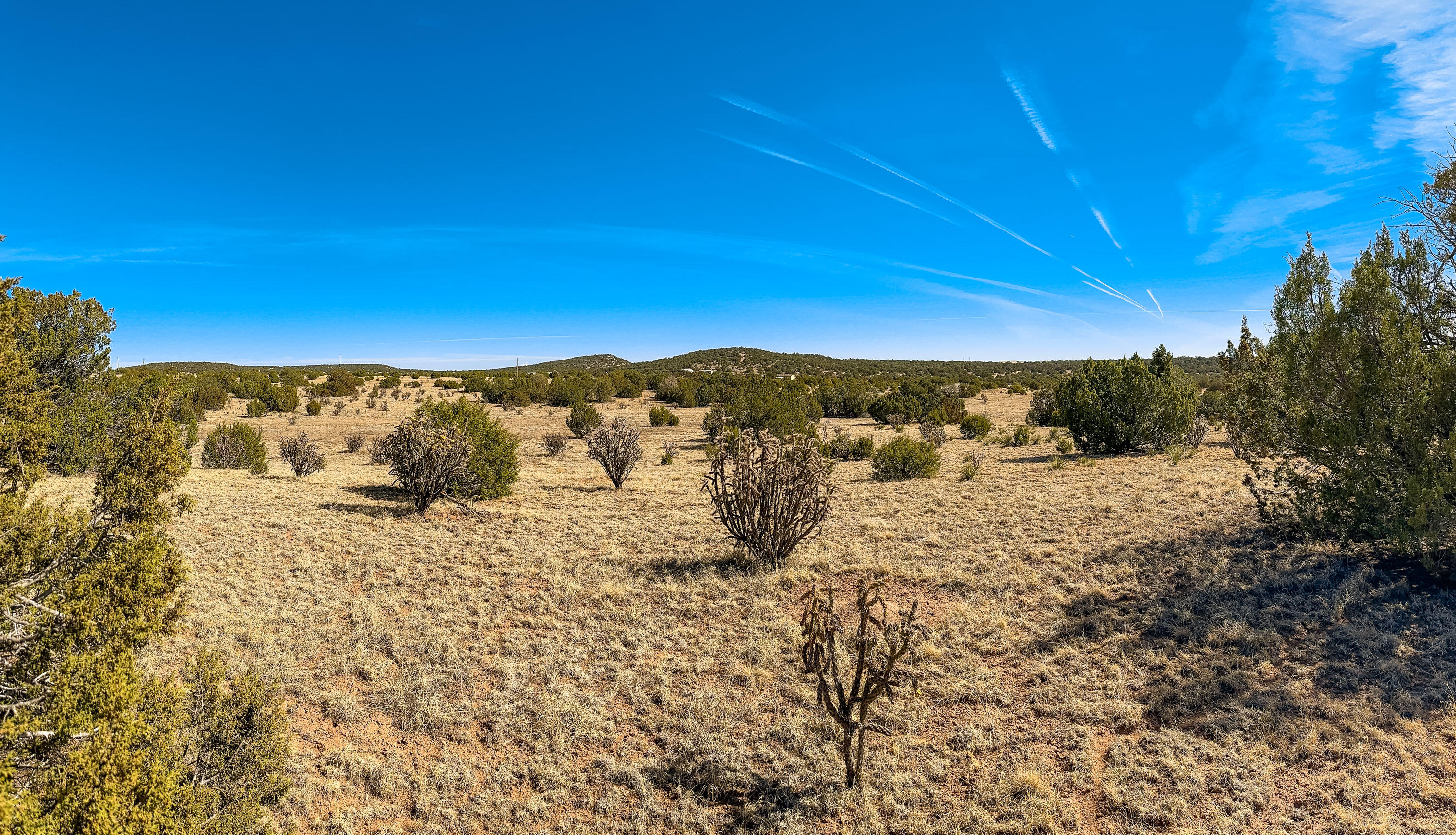 65 Casper Court, Moriarty, New Mexico image 1