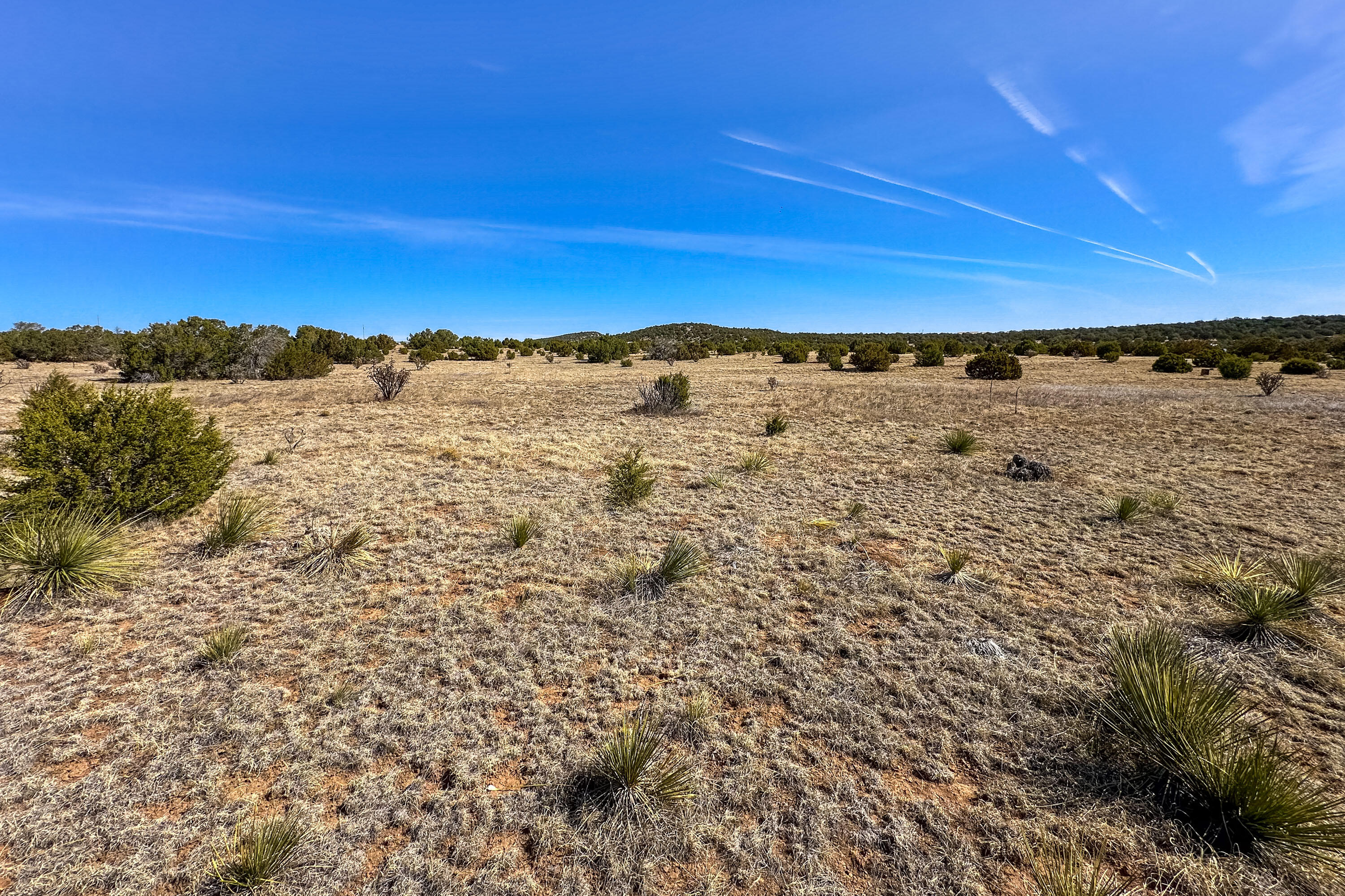 65 Casper Court, Moriarty, New Mexico image 2