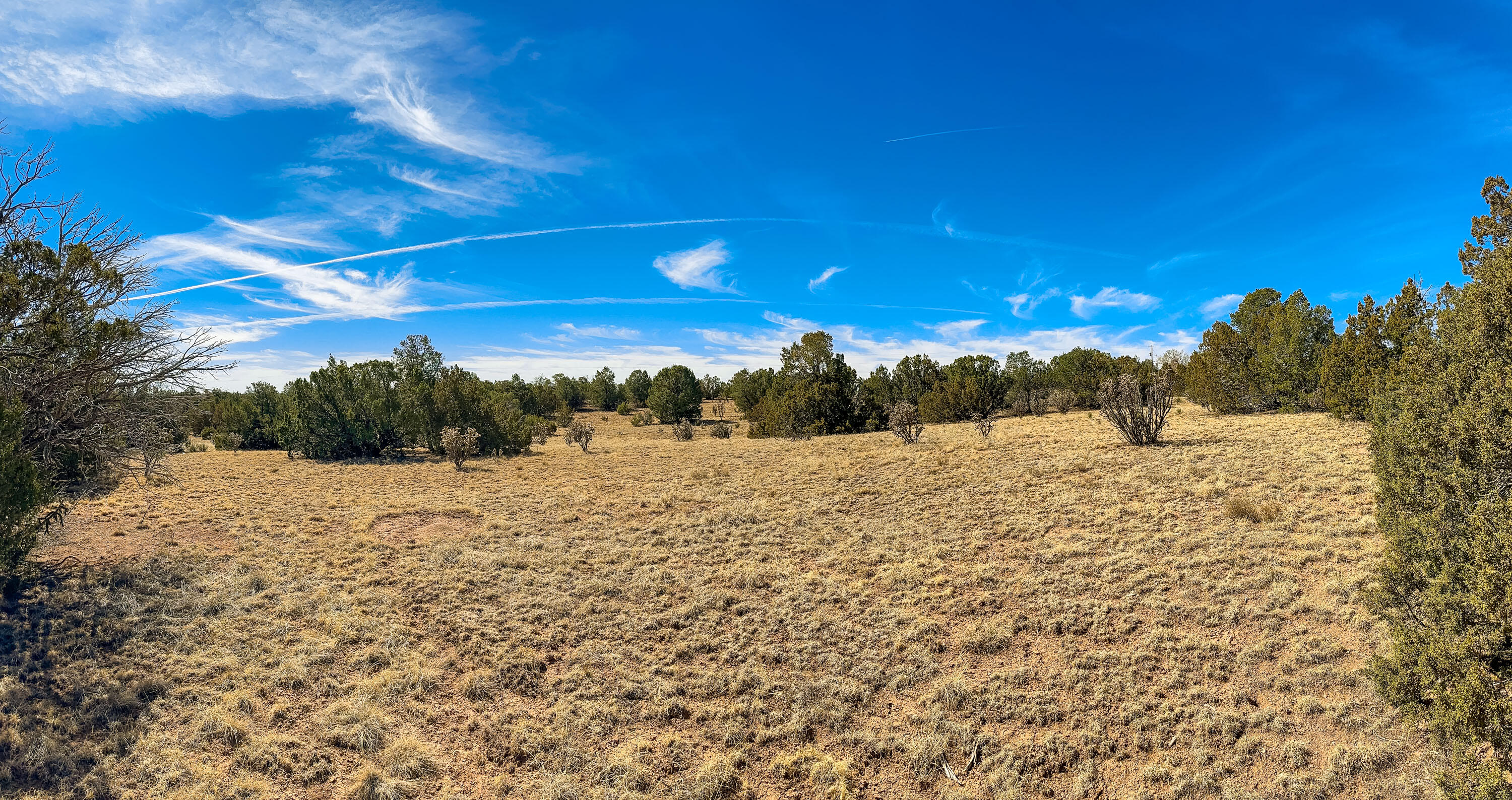 65 Casper Court, Moriarty, New Mexico image 3