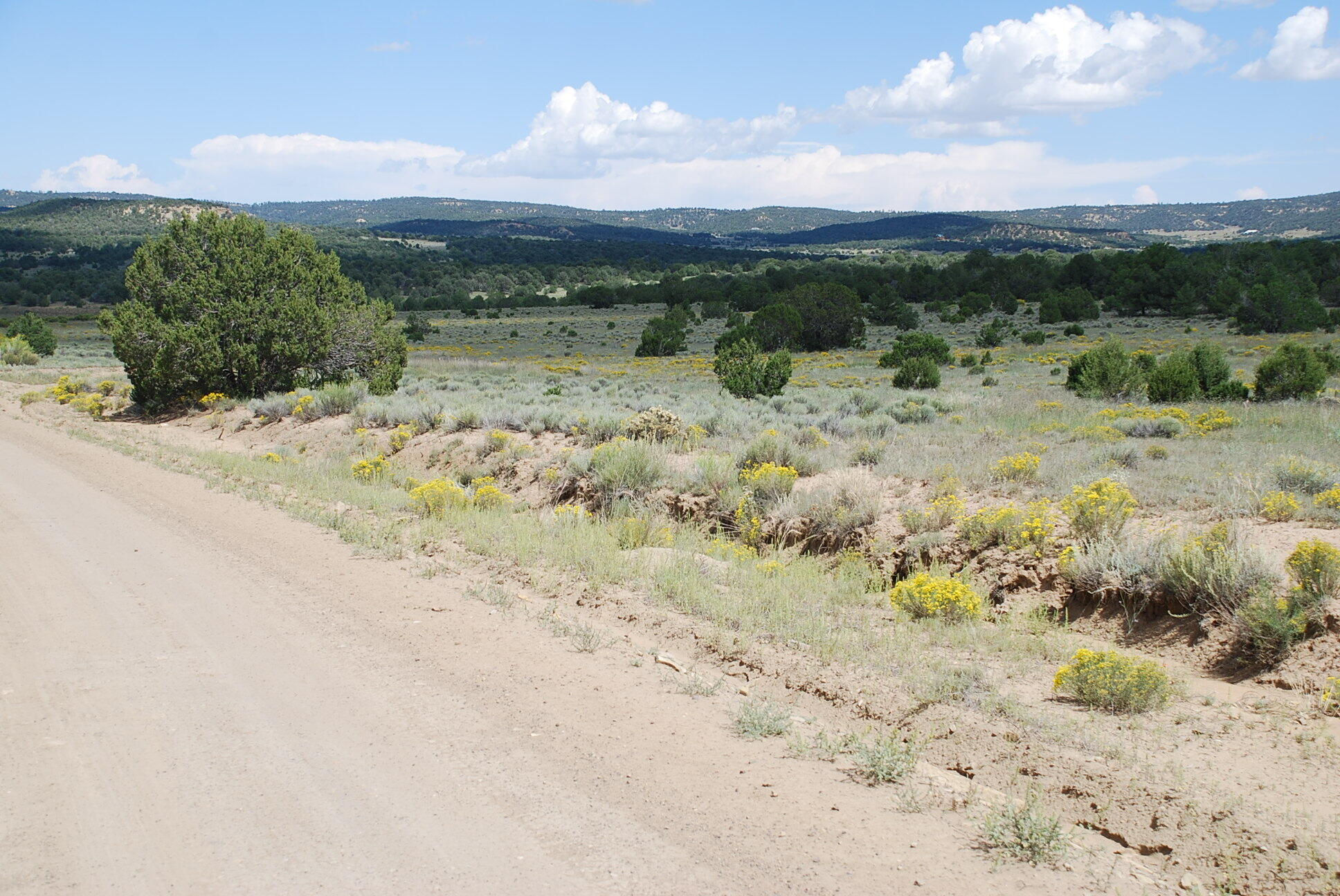 Wildhorse Subdivision 10 Lots, Pie Town, New Mexico image 2