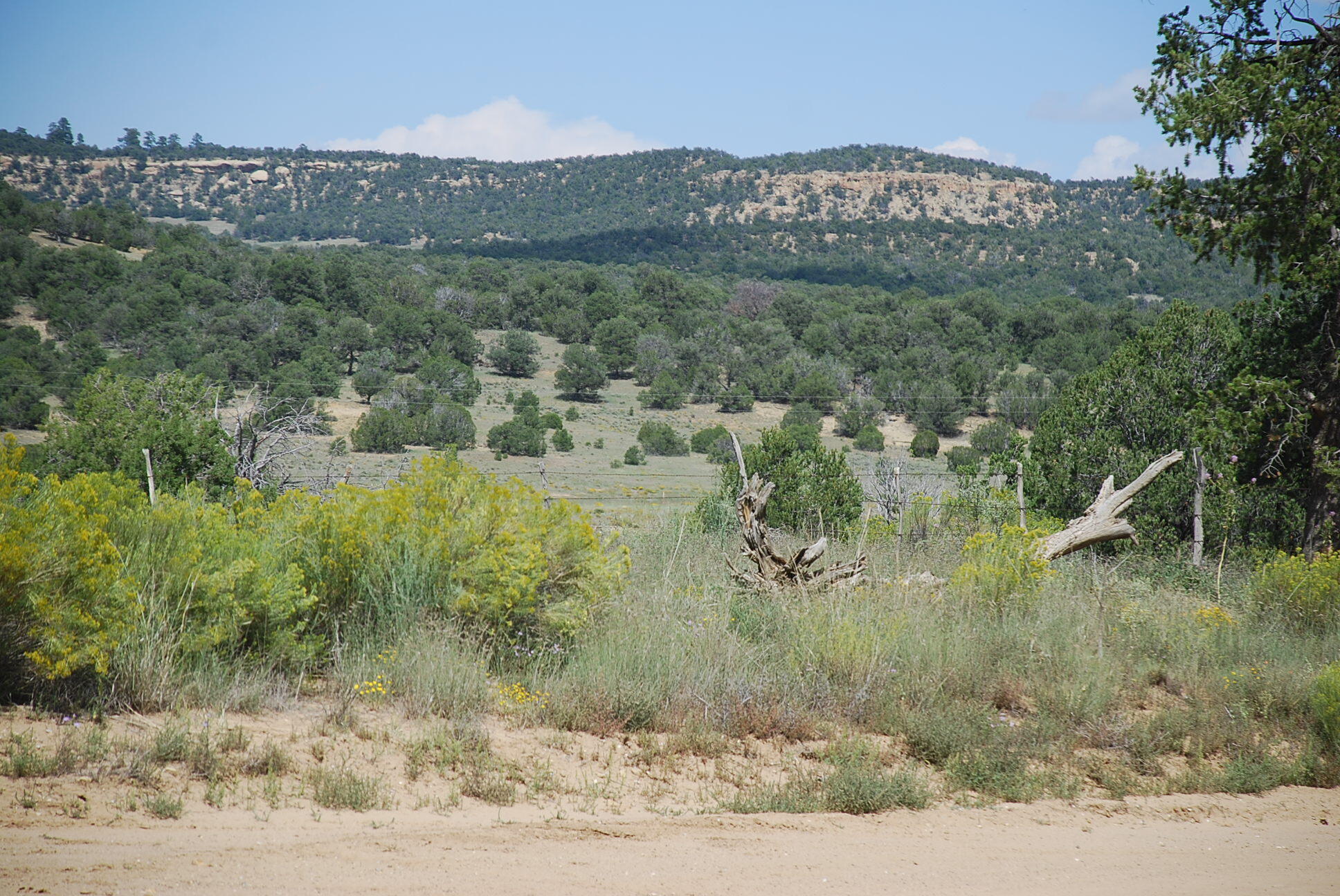 Wildhorse Subdivision 10 Lots, Pie Town, New Mexico image 5