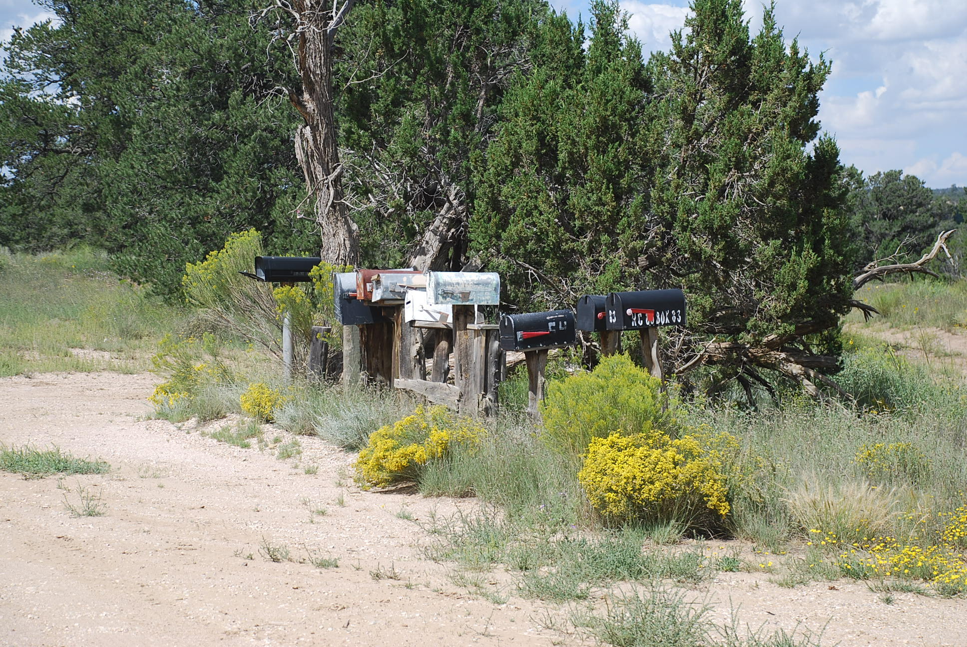 Wildhorse Subdivision 10 Lots, Pie Town, New Mexico image 3