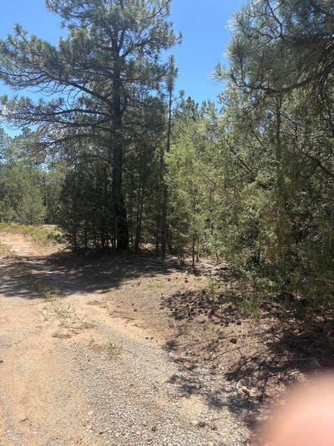 Vacant Land For Sale - 31 Armin Road<br/> Tijeras, NM 87059