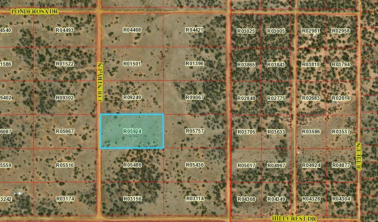 Lot 16 Country Lane, Ramah, New Mexico image 1