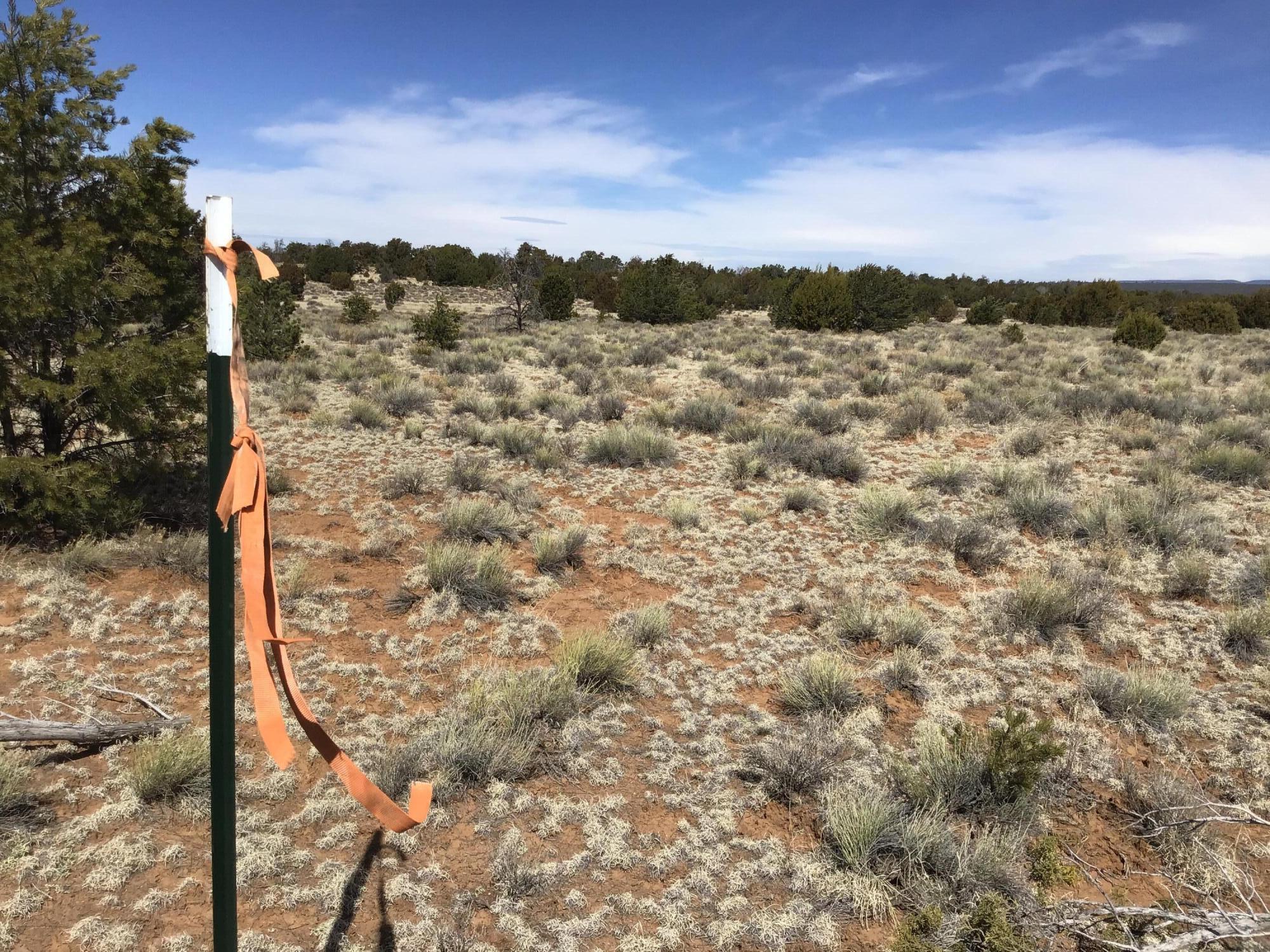 Lot 16 Country Lane, Ramah, New Mexico image 12