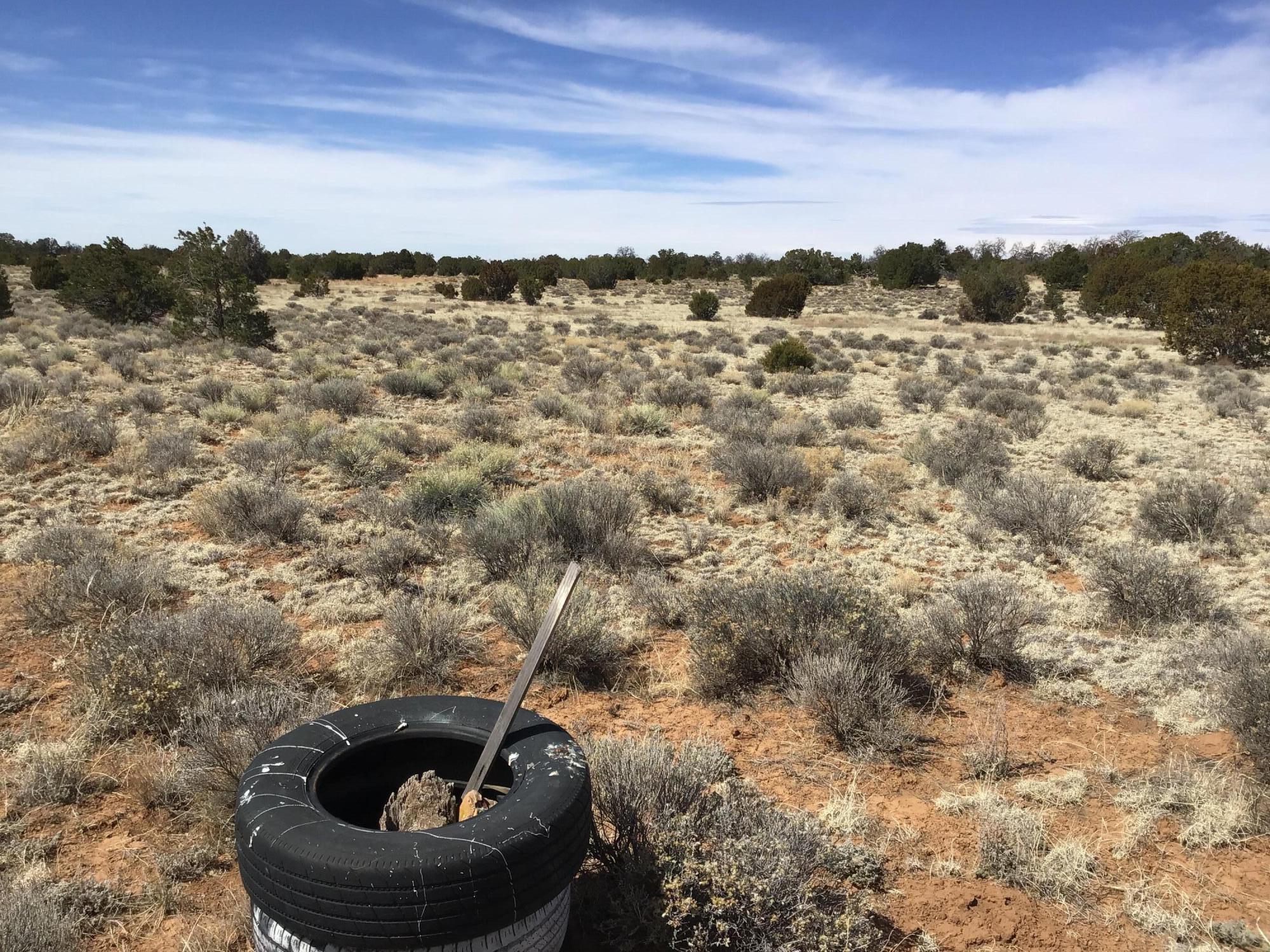Lot 16 Country Lane, Ramah, New Mexico image 14