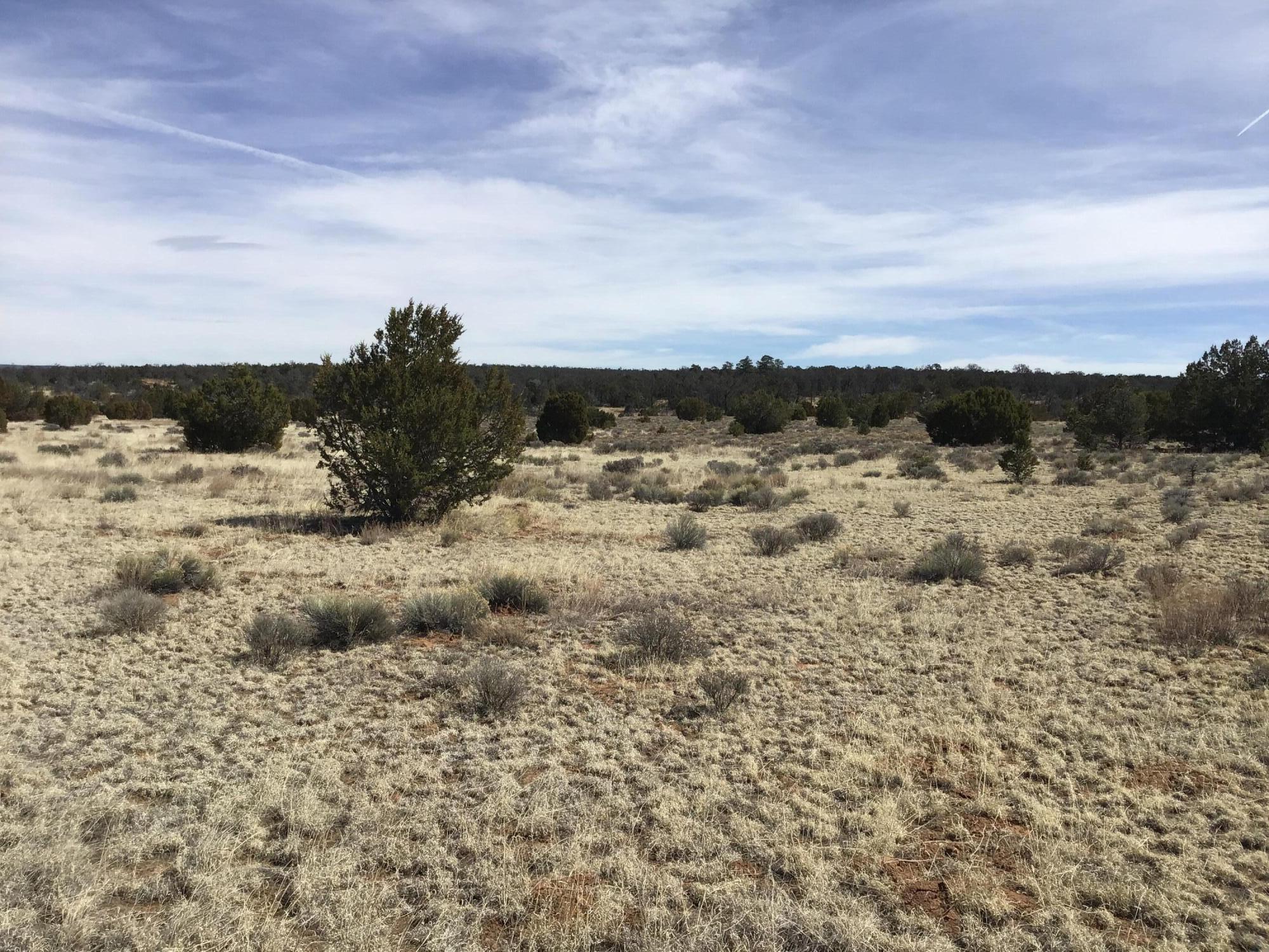 Lot 16 Country Lane, Ramah, New Mexico image 5