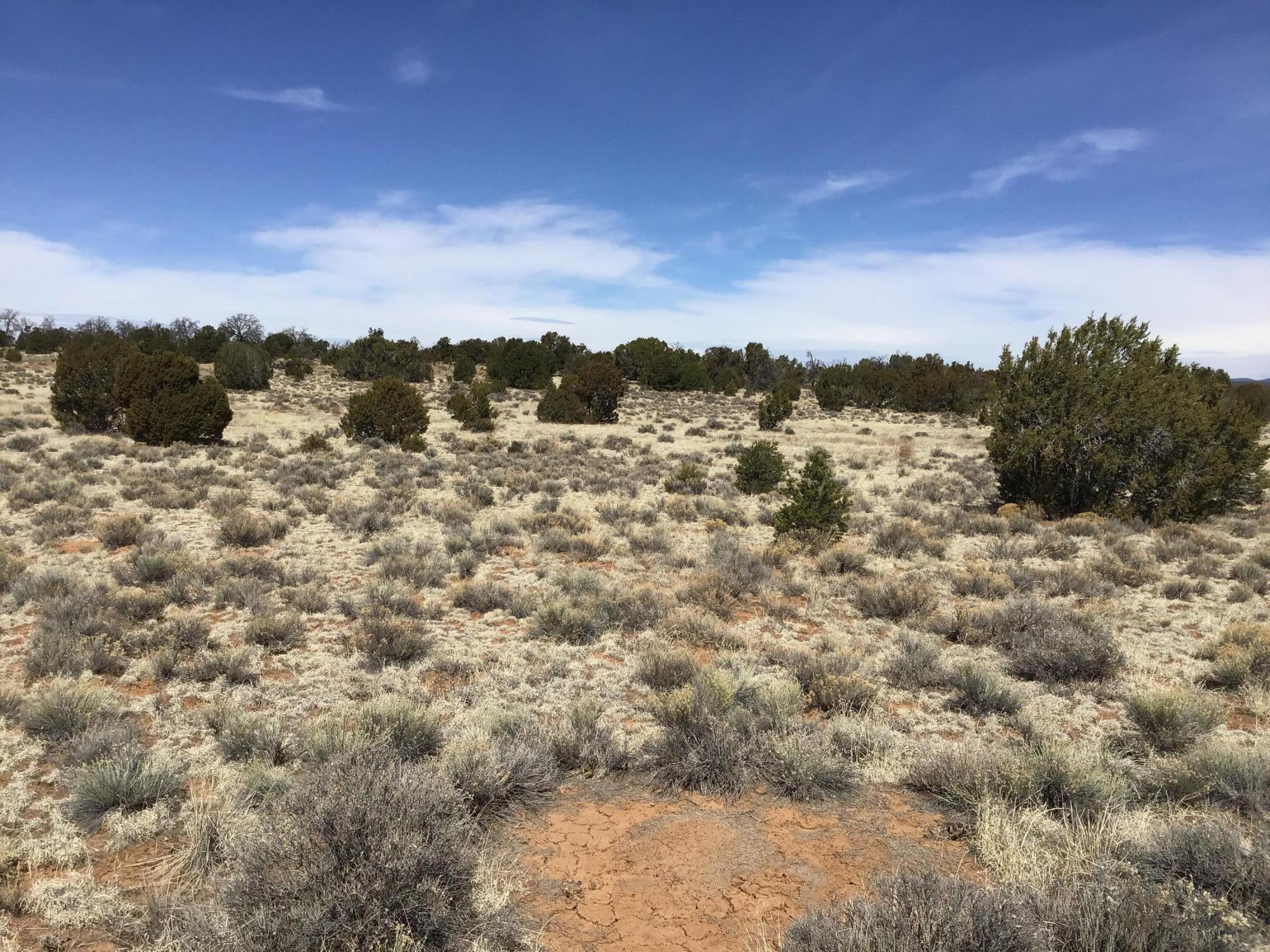 Lot 16 Country Lane, Ramah, New Mexico image 7