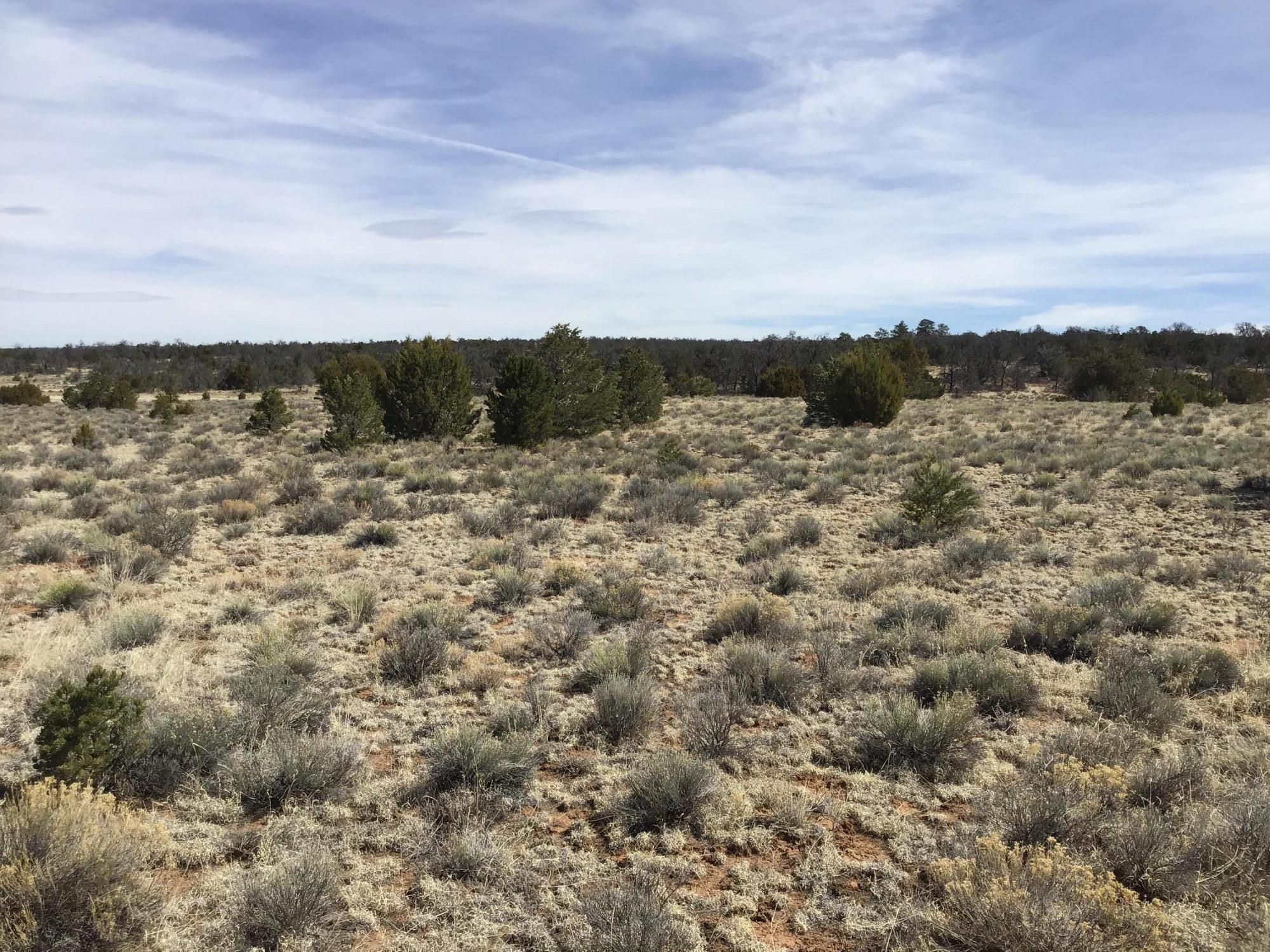 Lot 16 Country Lane, Ramah, New Mexico image 9