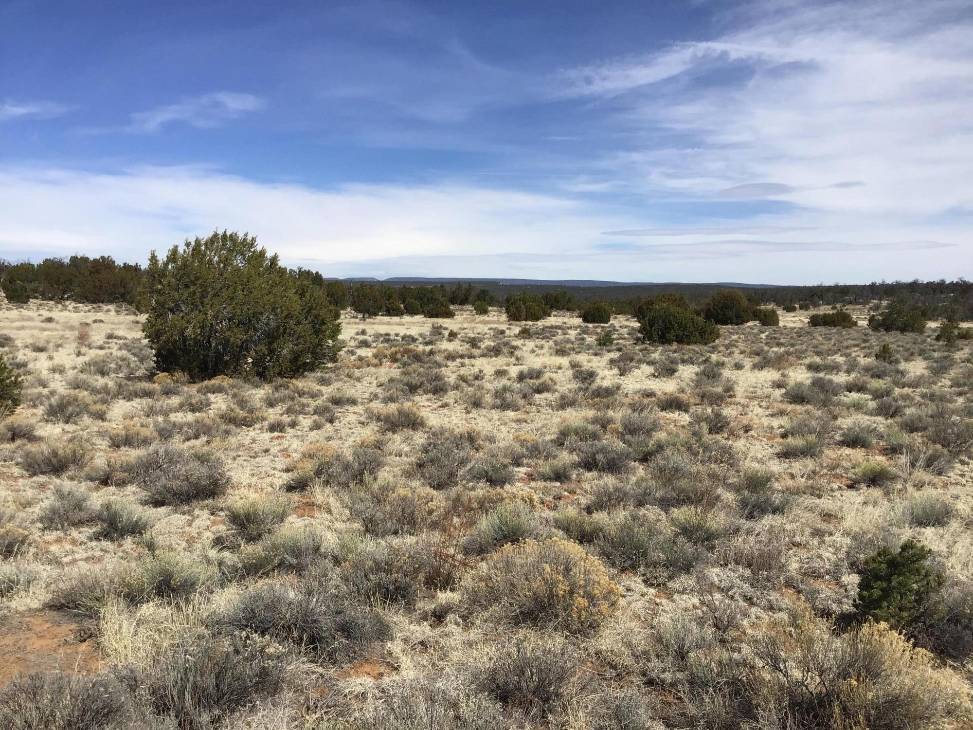 Lot 16 Country Lane, Ramah, New Mexico image 8