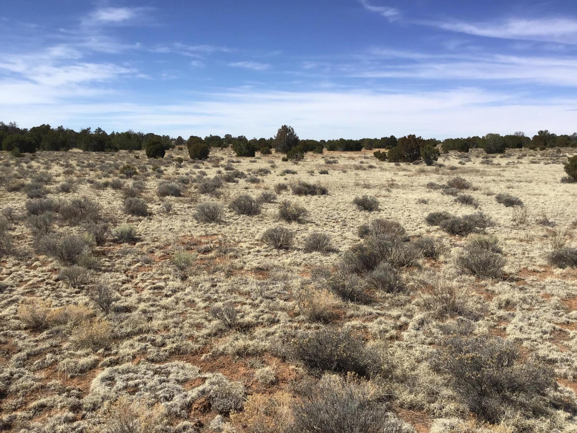 Lot 16 Country Lane, Ramah, New Mexico image 15