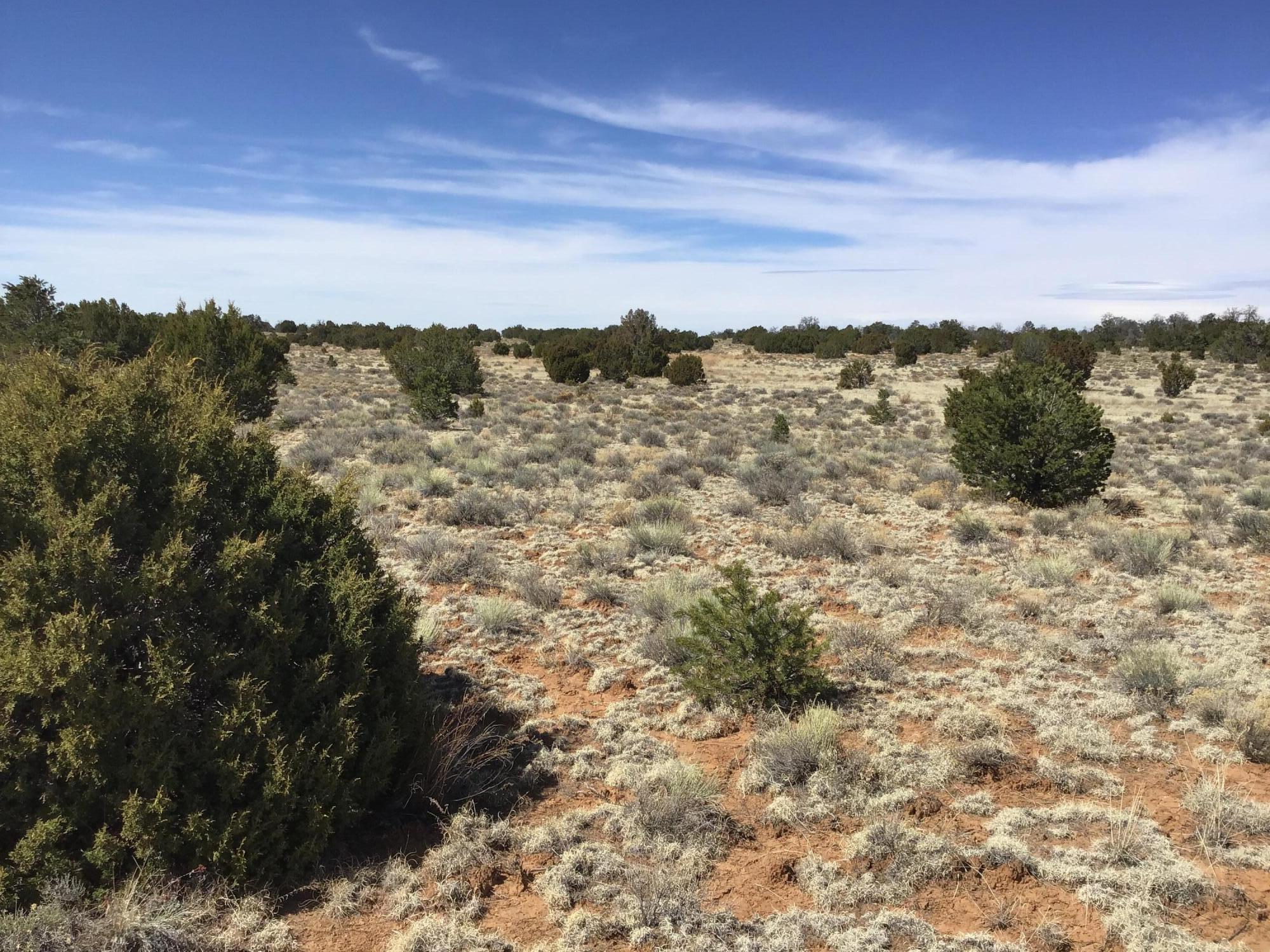 Lot 16 Country Lane, Ramah, New Mexico image 10