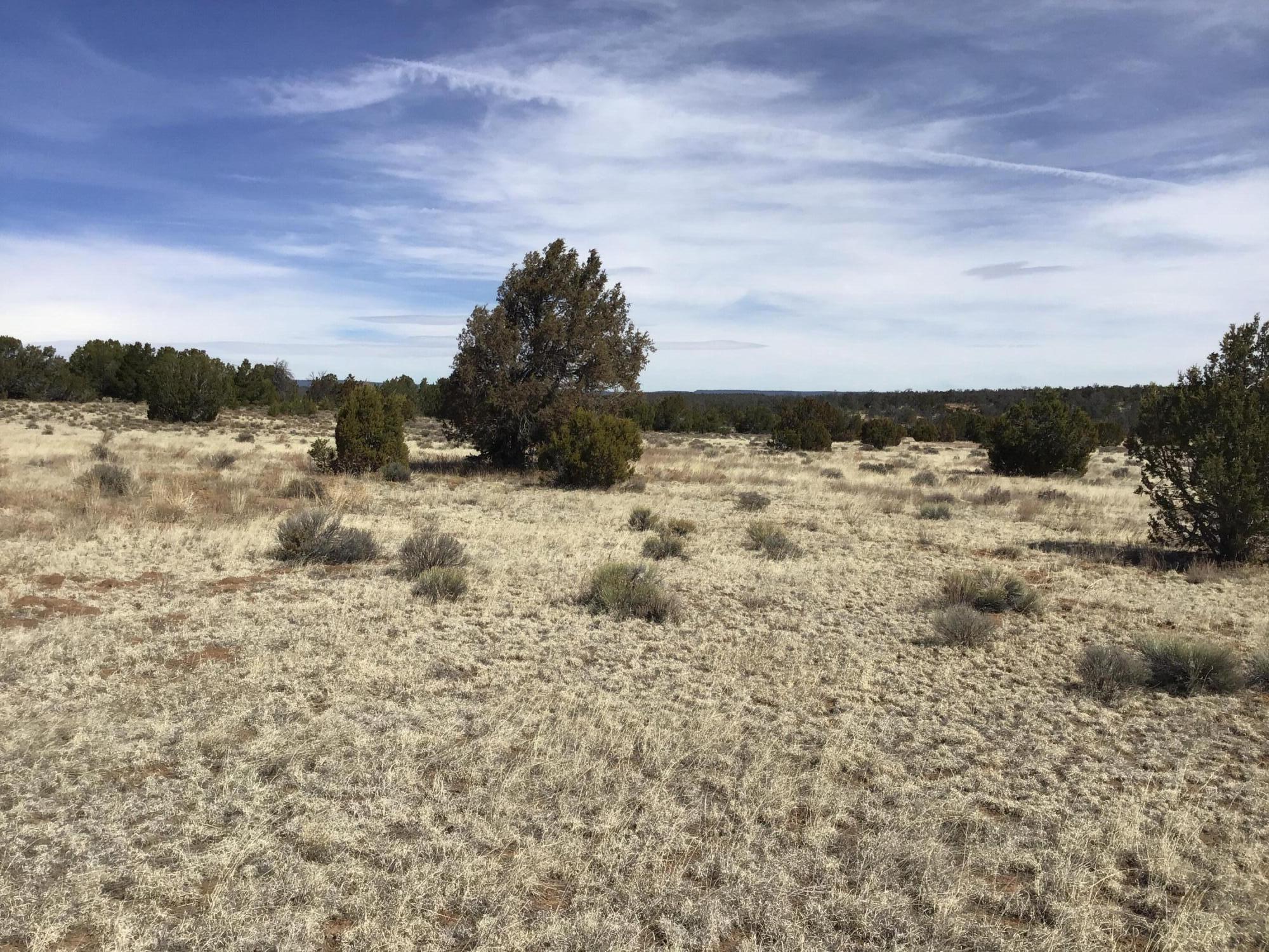 Lot 16 Country Lane, Ramah, New Mexico image 6