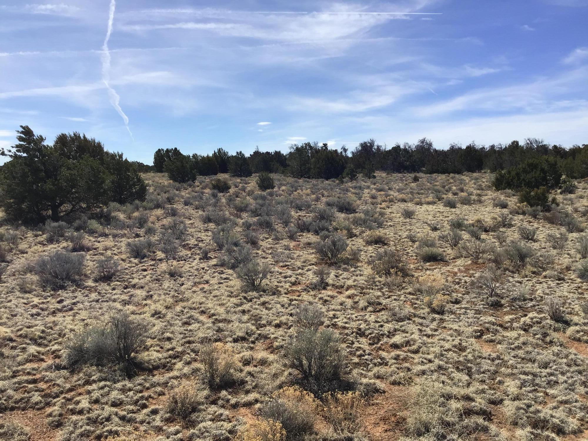 Lot 16 Country Lane, Ramah, New Mexico image 18