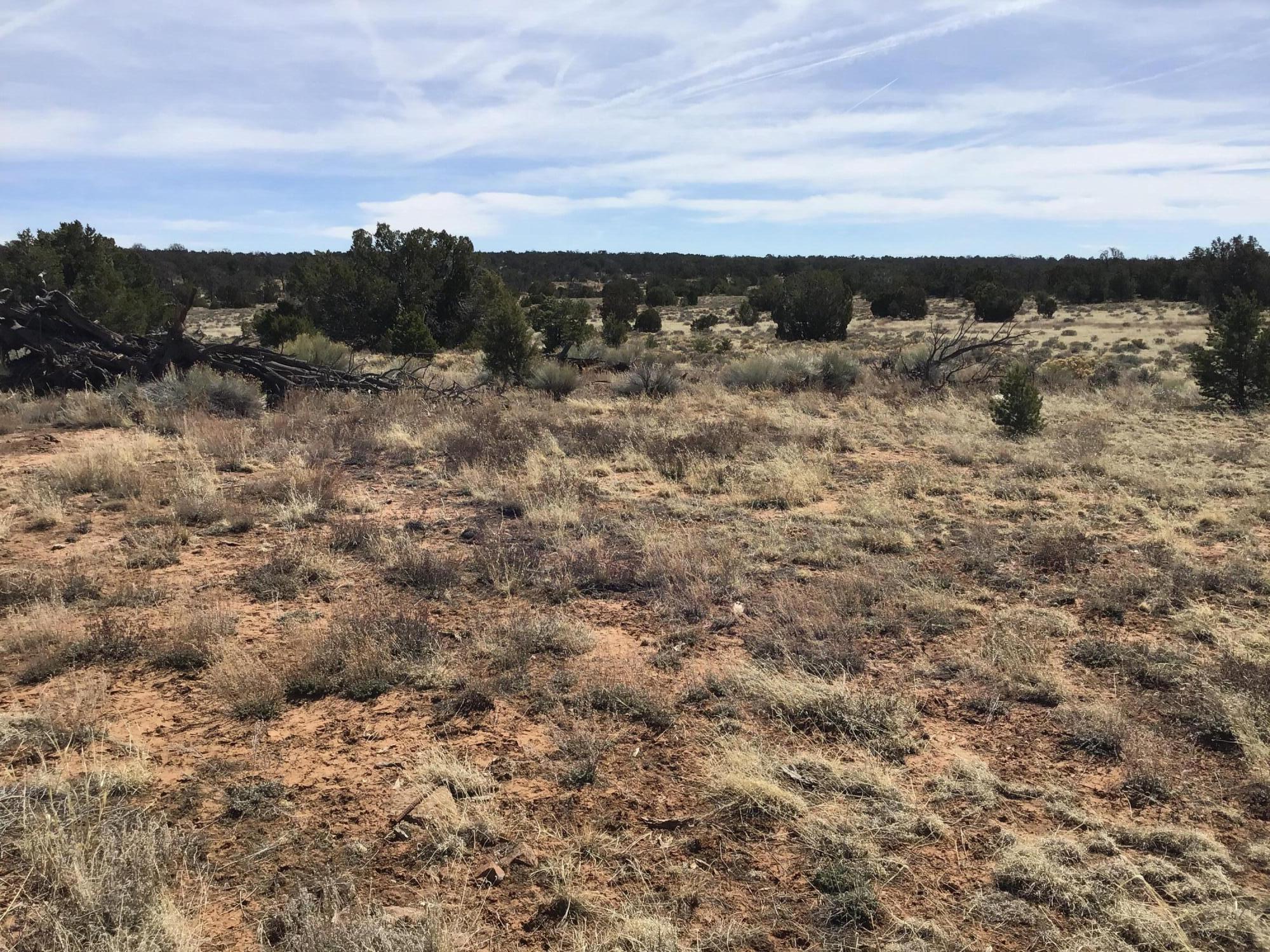 Lot 16 Country Lane, Ramah, New Mexico image 19