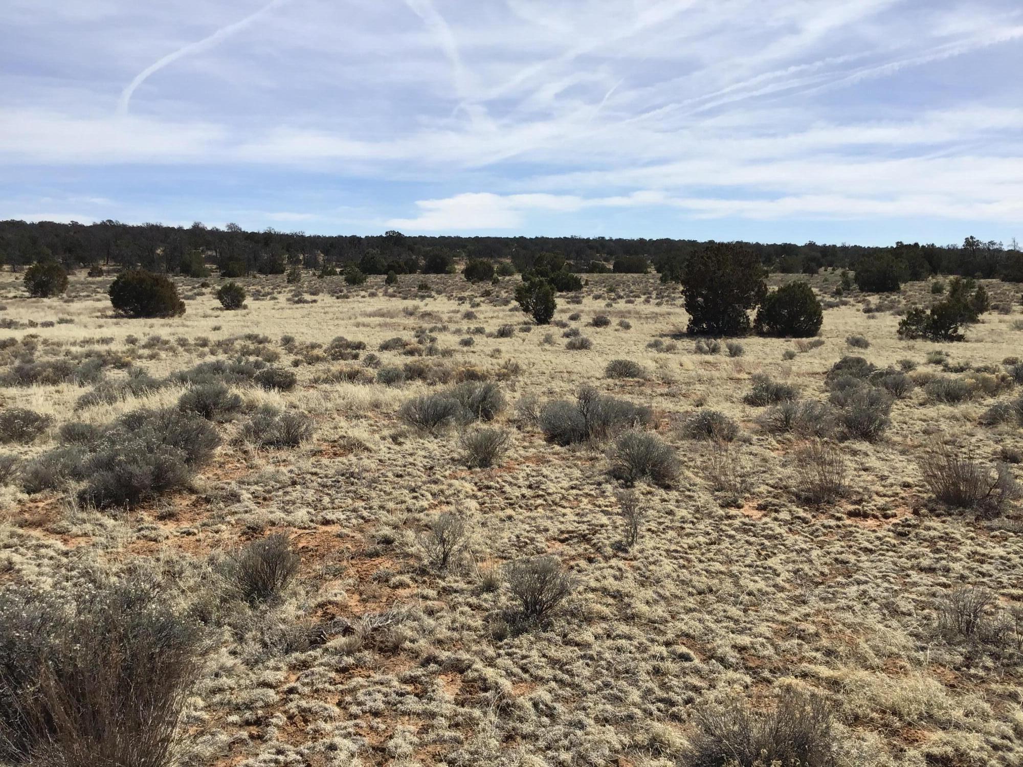 Lot 16 Country Lane, Ramah, New Mexico image 17
