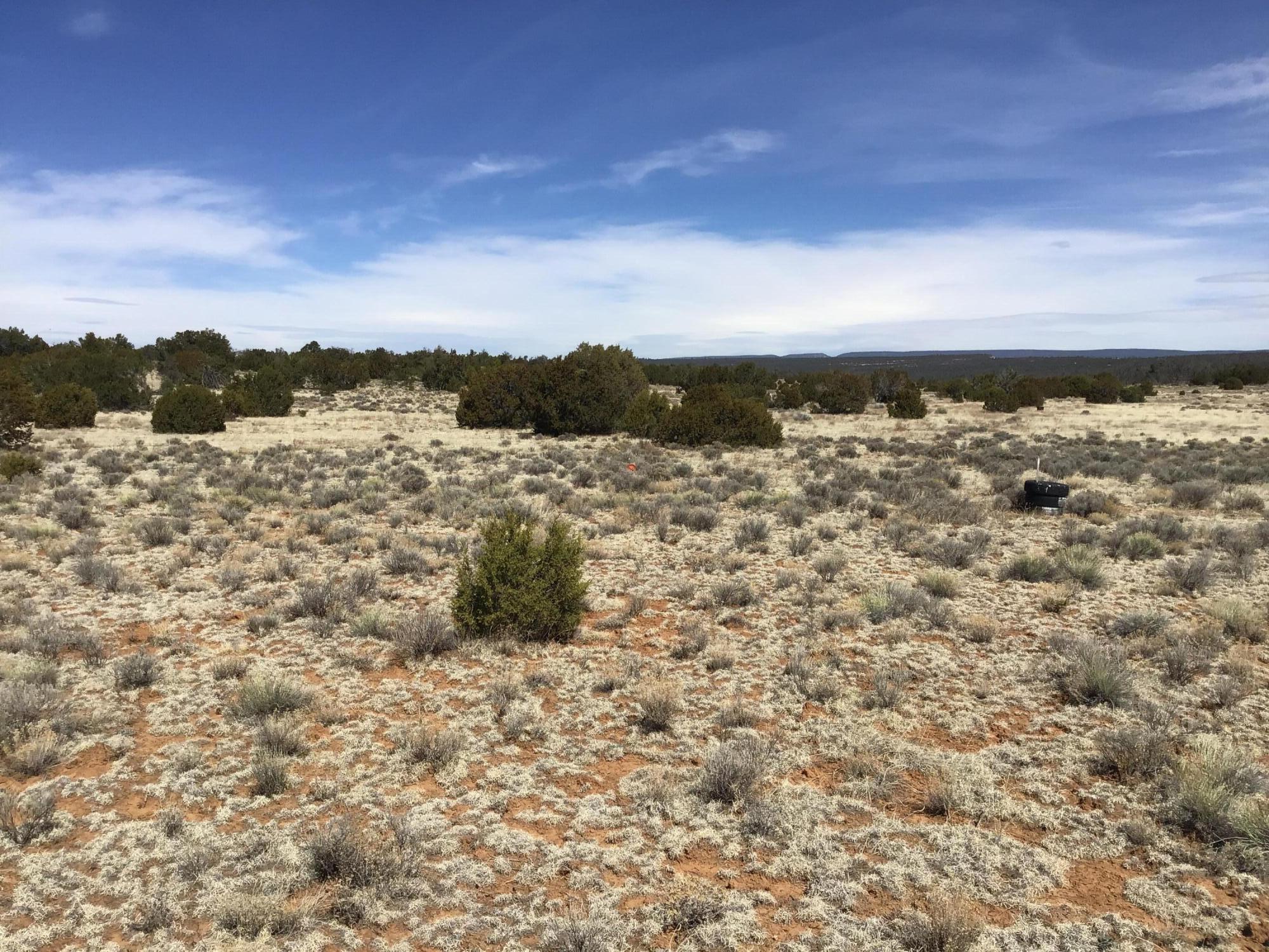 Lot 16 Country Lane, Ramah, New Mexico image 13